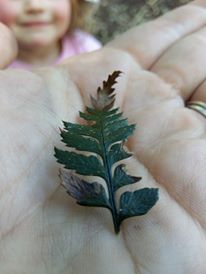 Teaching Izzy about ferns