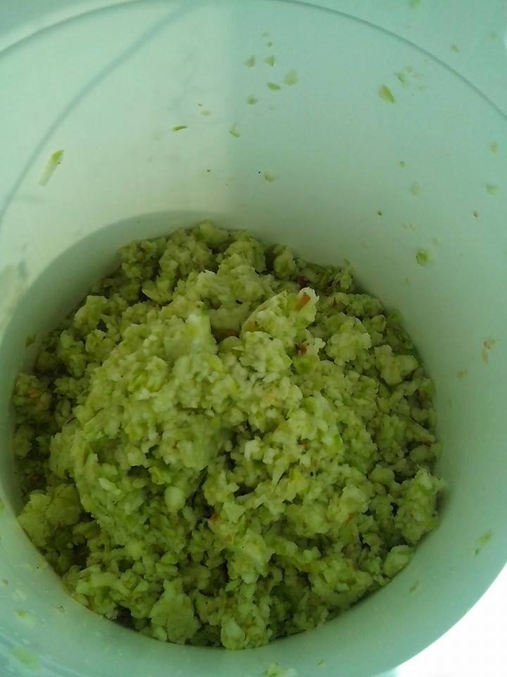 Whole blended apples into pulp