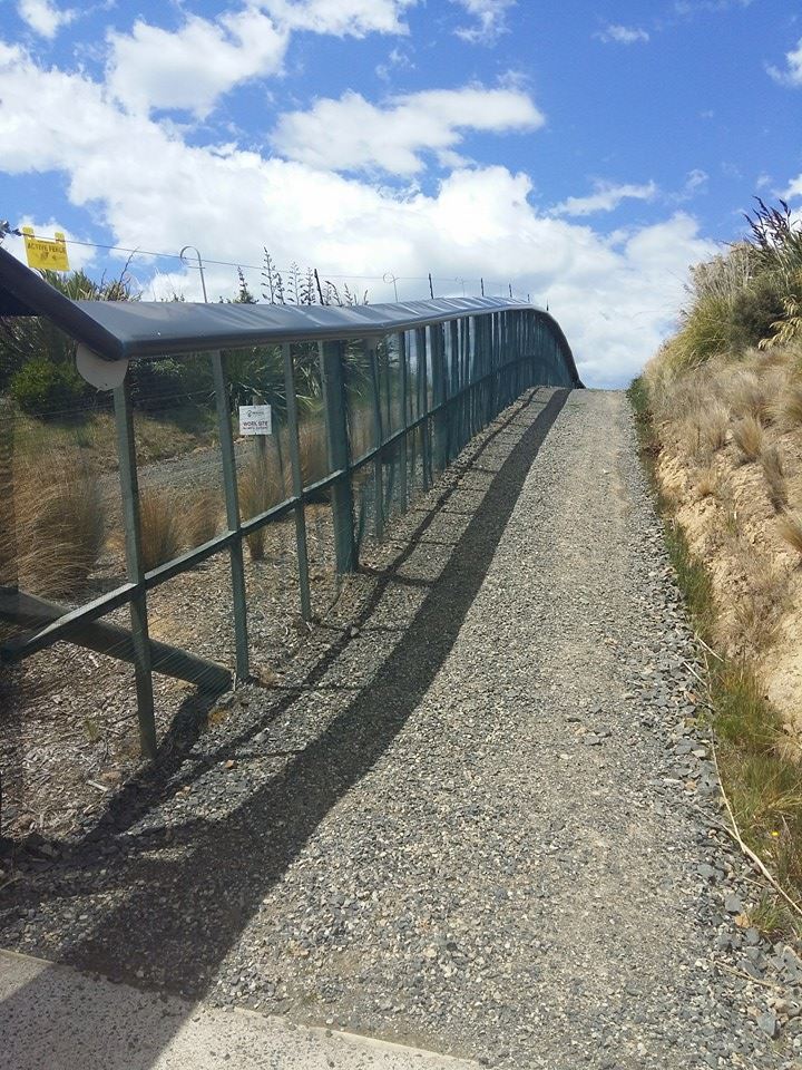 An example of the predator free fencing