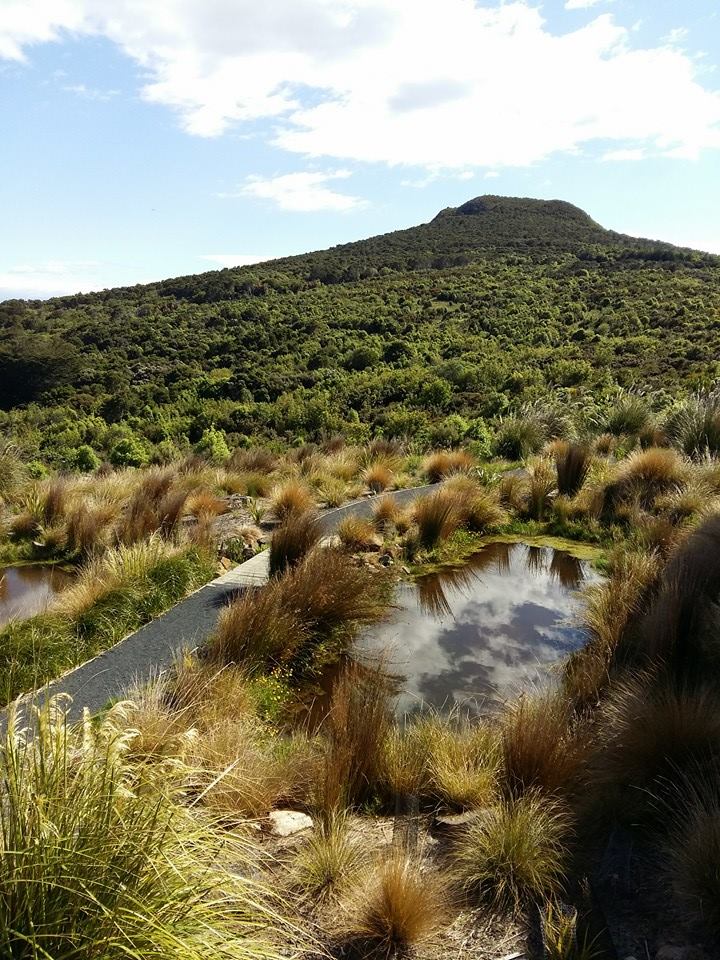 307 Hectares of beauty