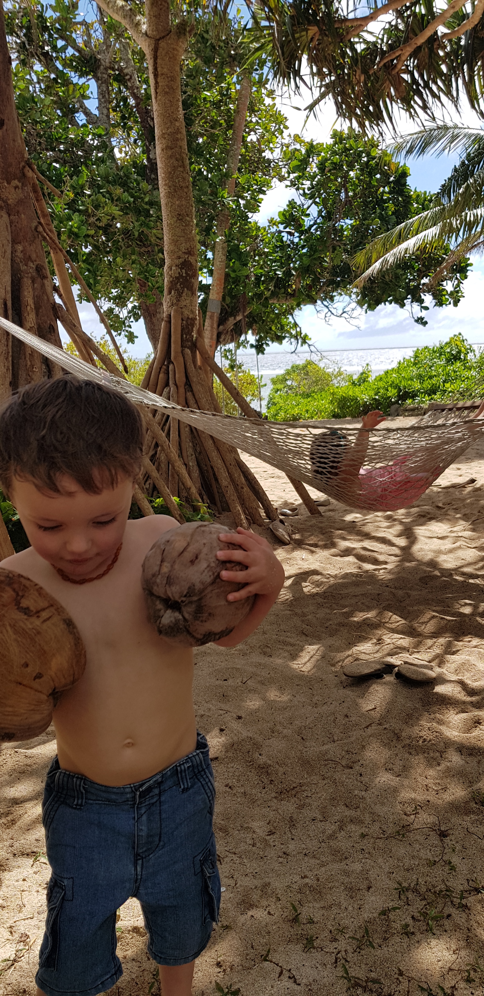 tonga coconuts.jpg