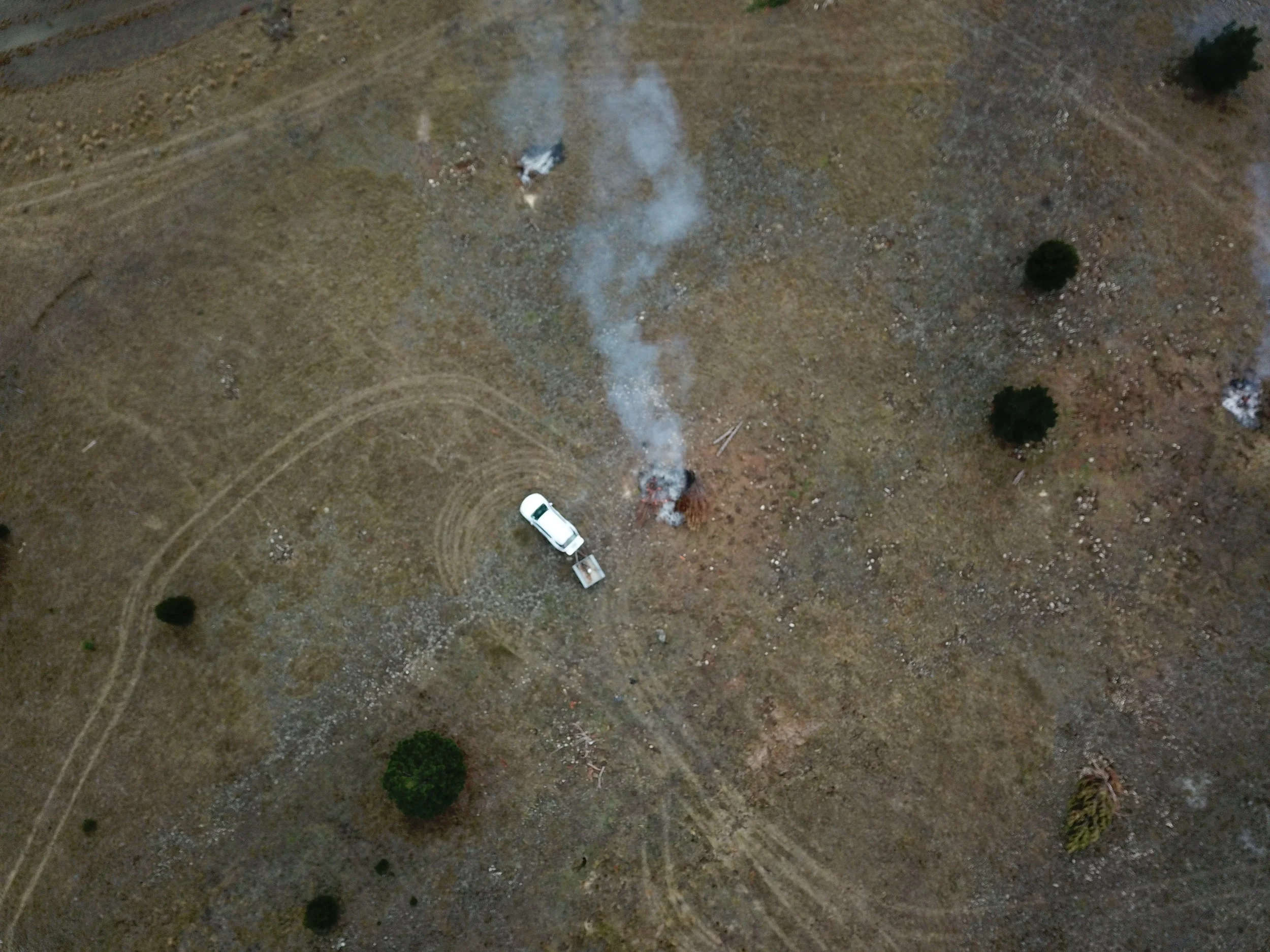 Drone view of a weekend burning dead wilding pines
