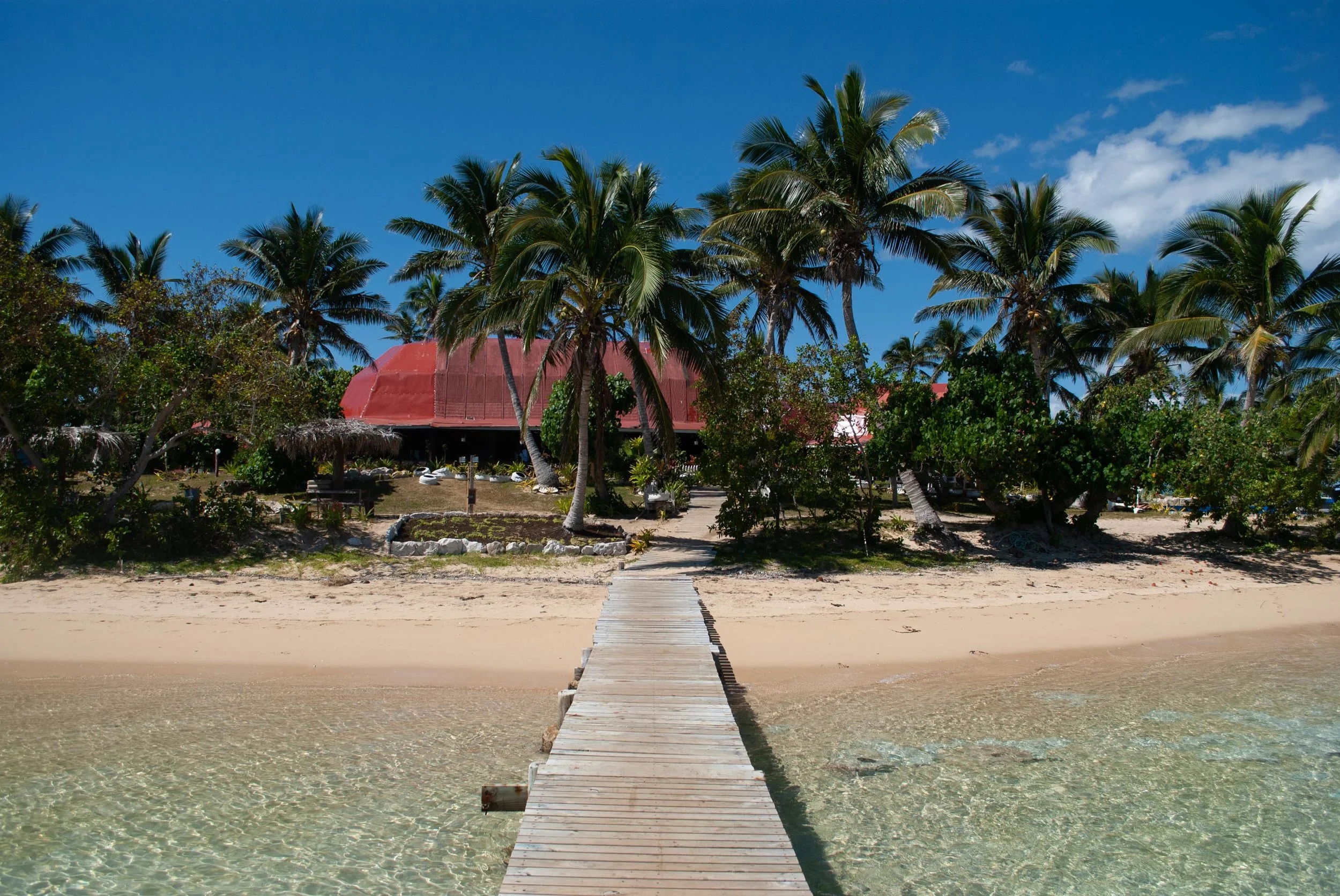 Tonga-16.jpg