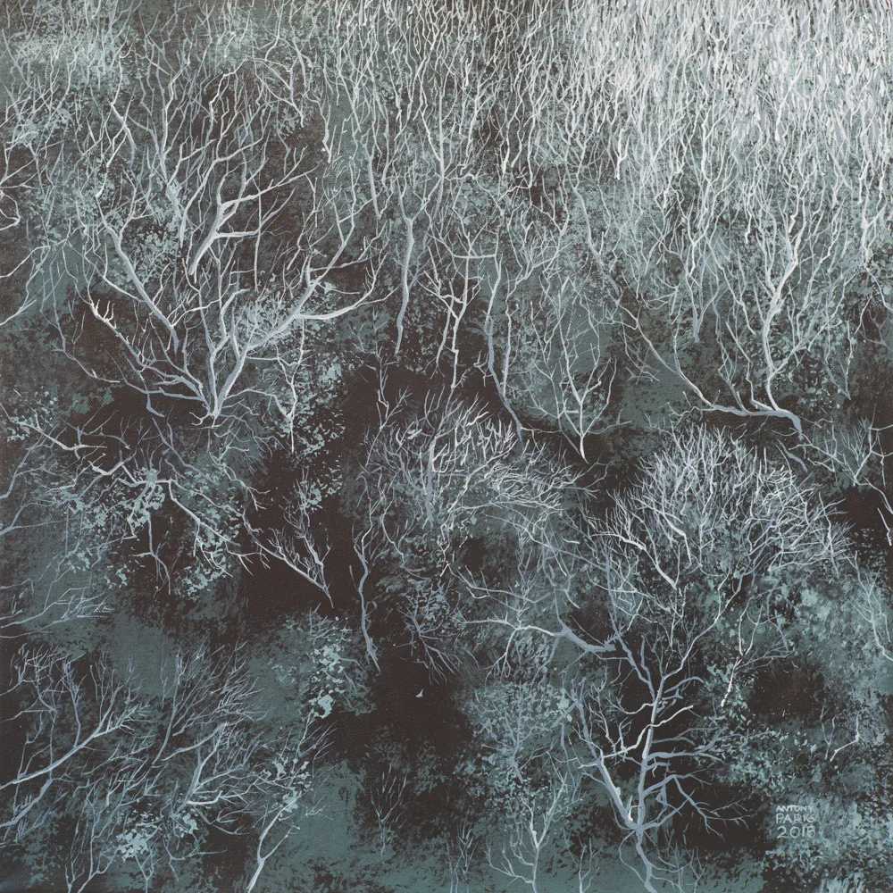 Trees from above