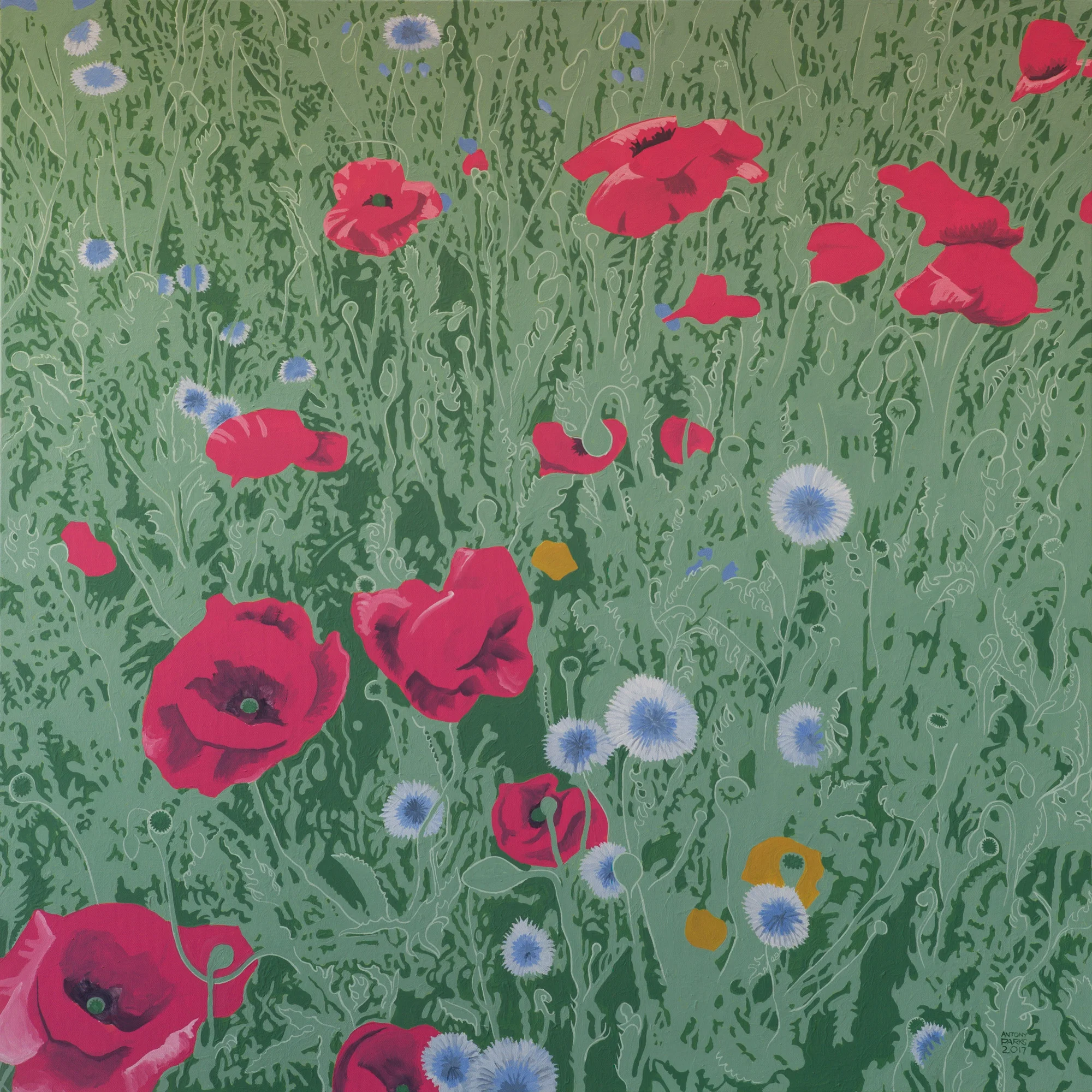 Poppies No 6