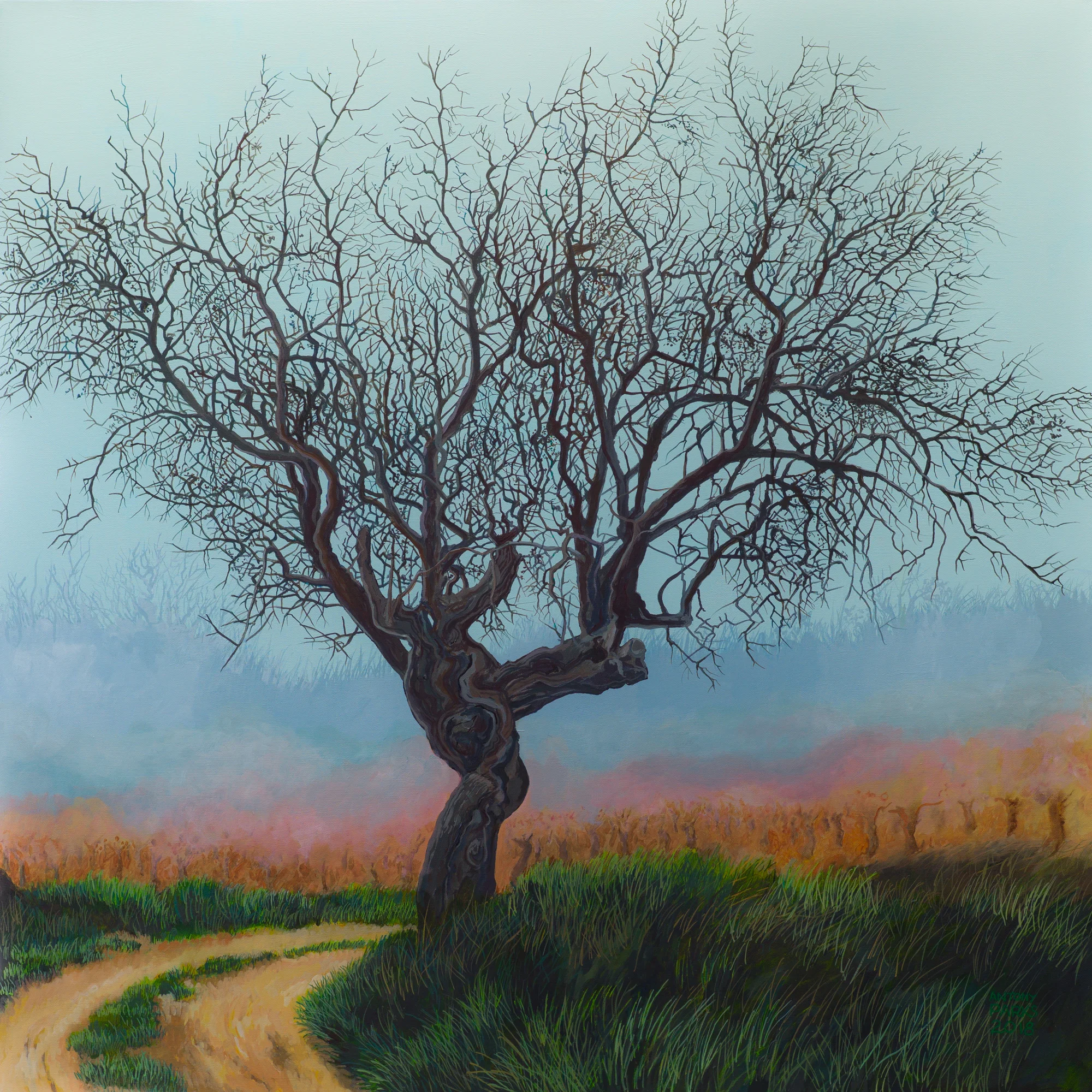 Almond tree on the Route de Corneilhan