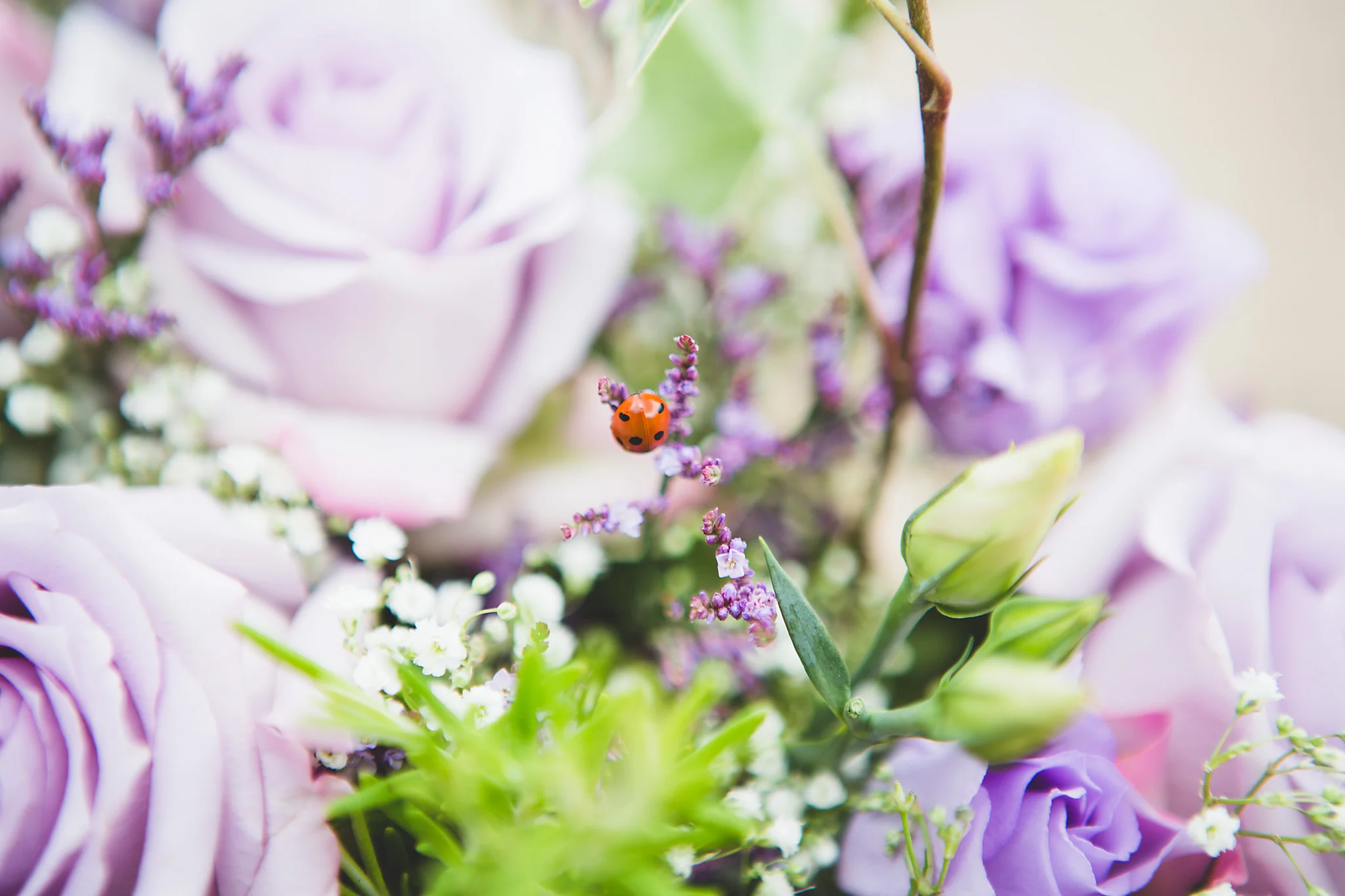 2015 weddings in Review - 123.jpg