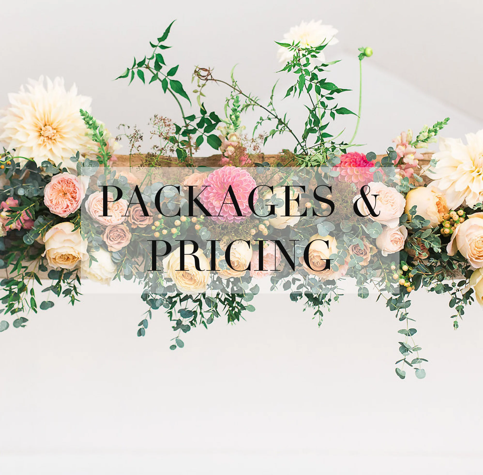                                                       PACKAGES AND PRICING