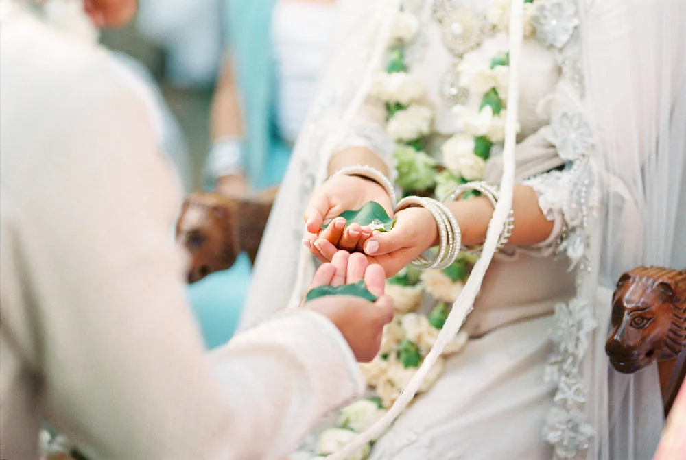 Alethiea+Krushi_519.jpg