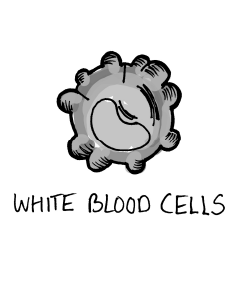 Asset 15@2x.png