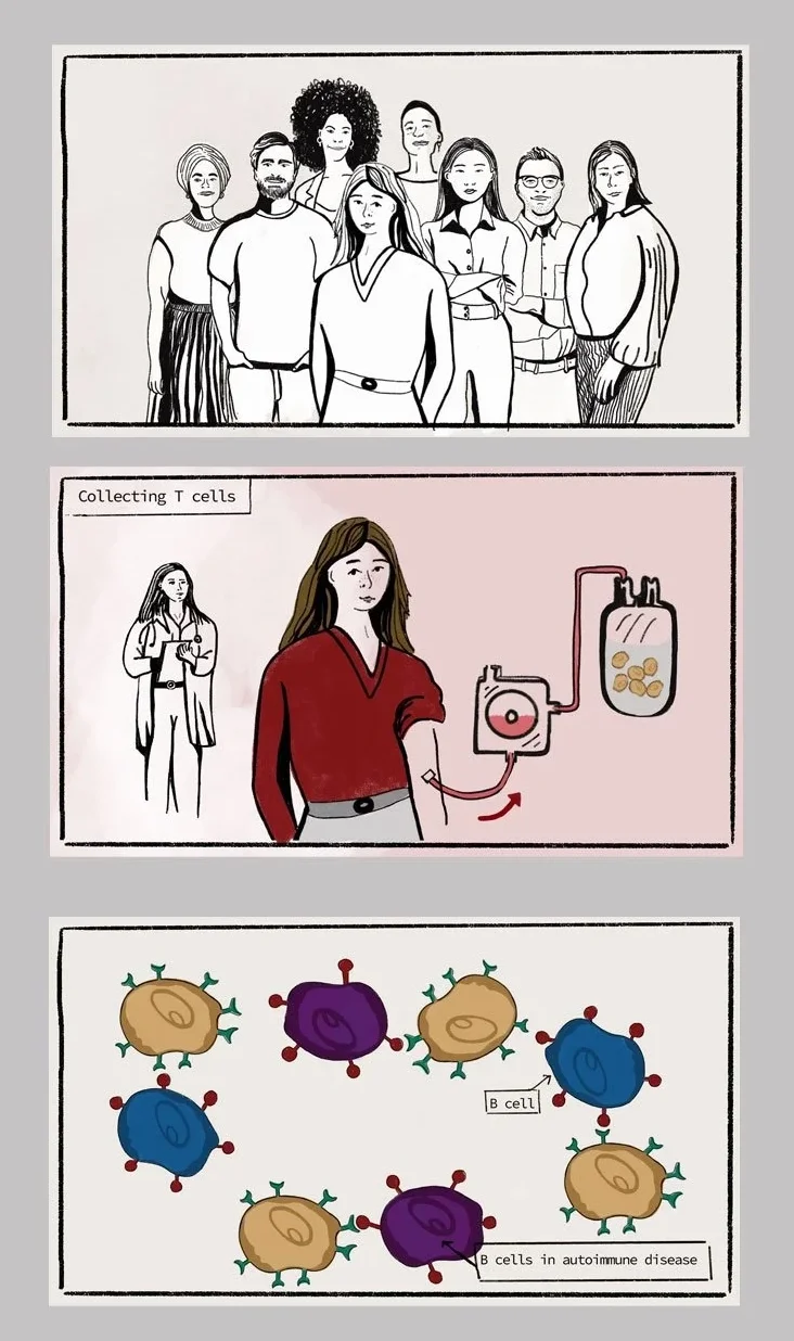 storyboards 2.jpg.webp