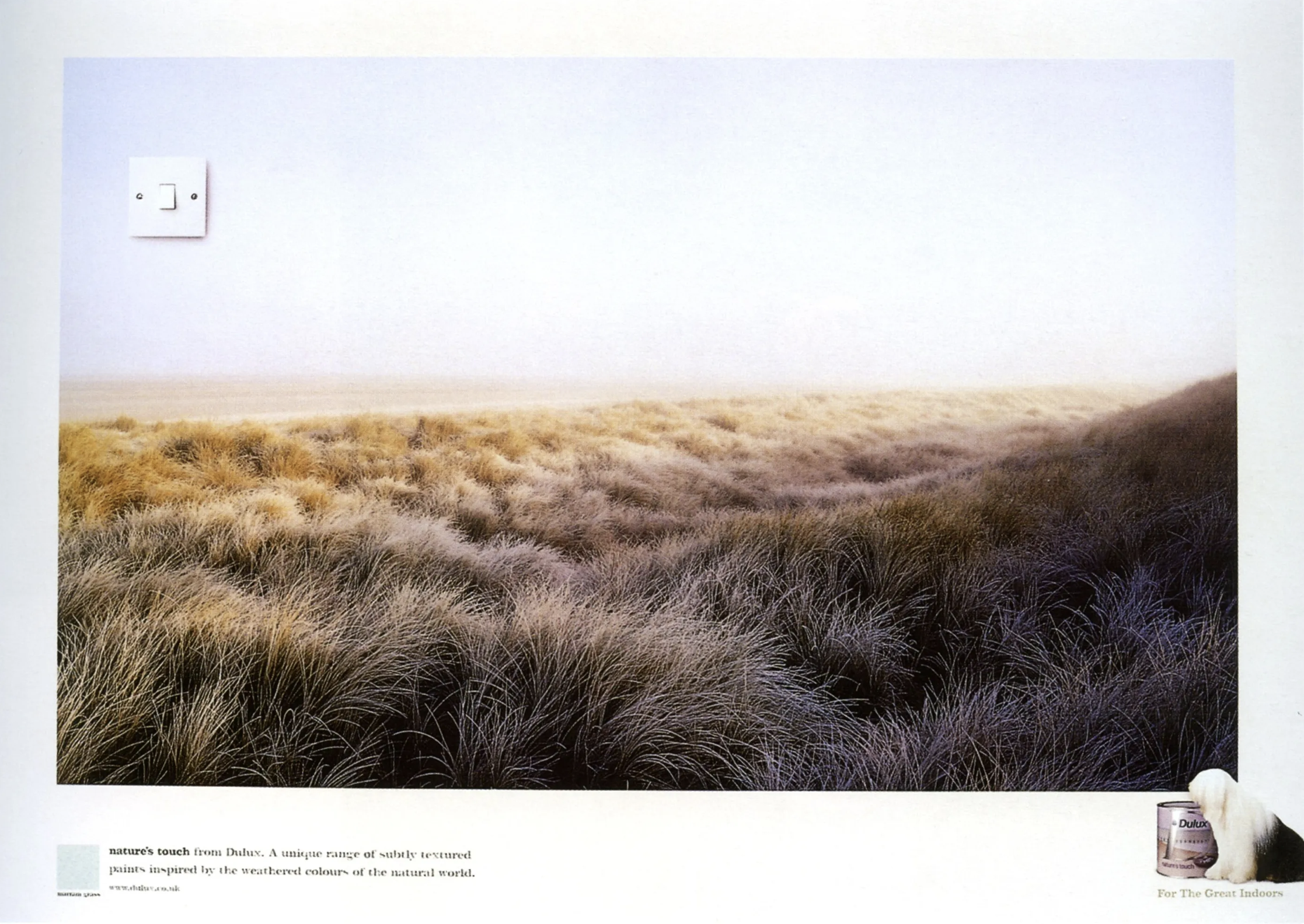 Dulux 1.png