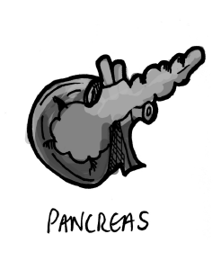 Asset 33@2x.png