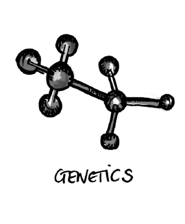 Asset 48@2x.png