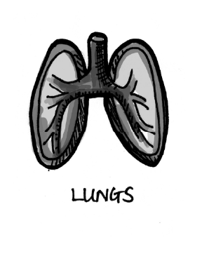 Asset 40@2x.png