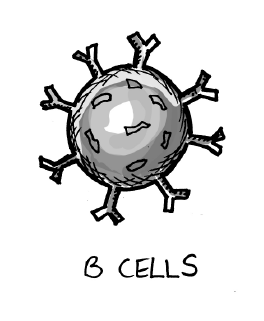Asset 59@2x.png