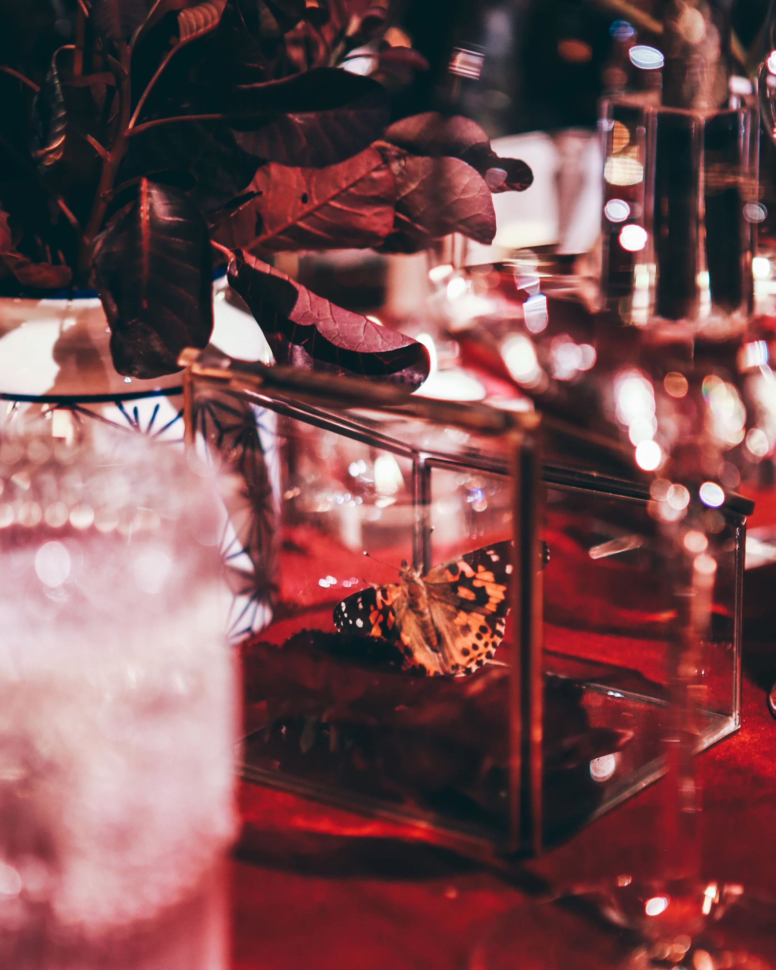 Tinsel in NYC — Noël McGrath