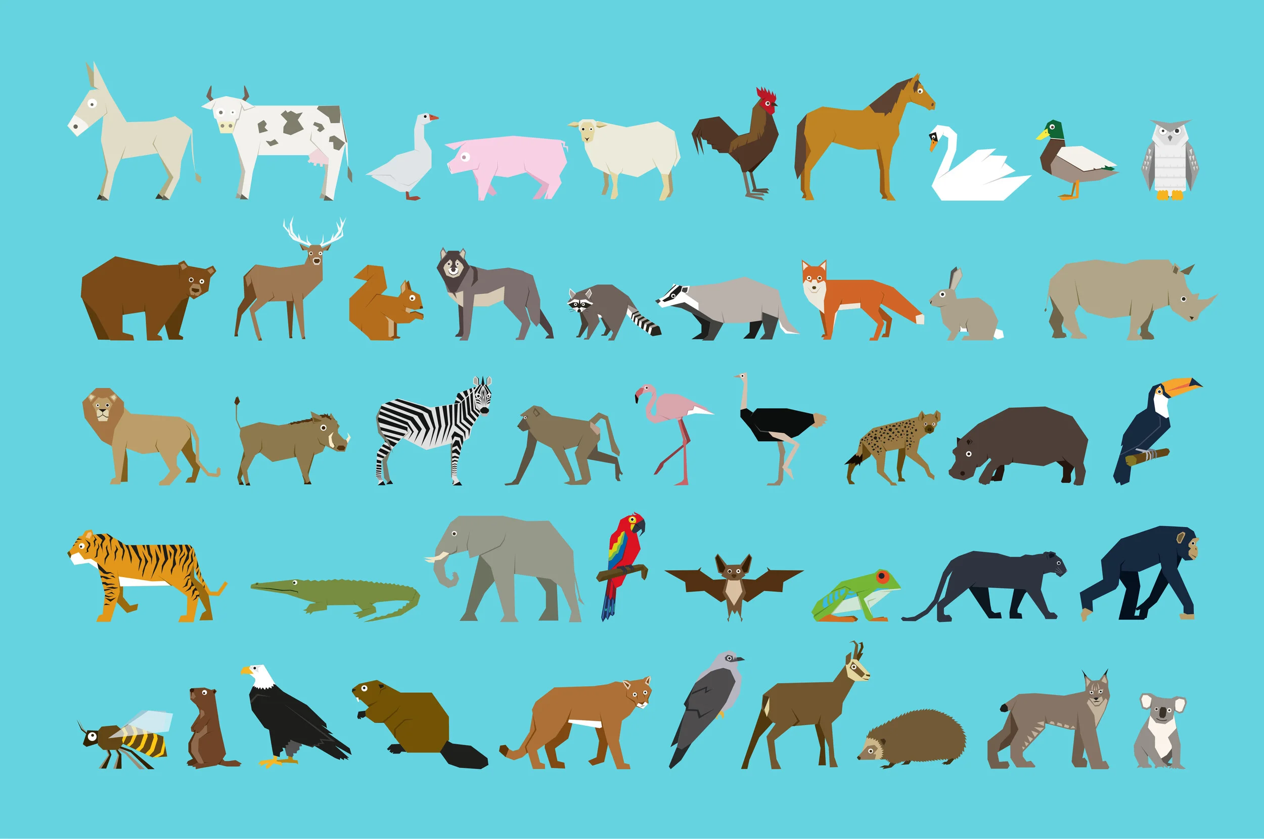  L'ensemble des animaux illustrés qui peuplent l'application.    