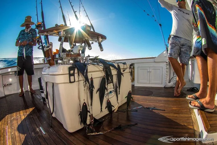 The Kraken Skirted Tuna Dredge — Taylor Offshore