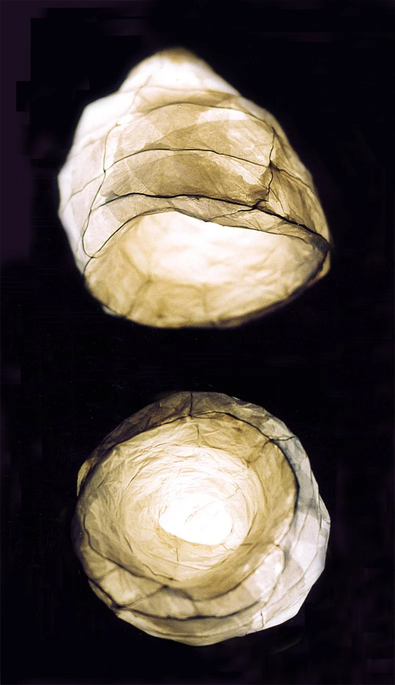 moskito1-790x1368.jpg