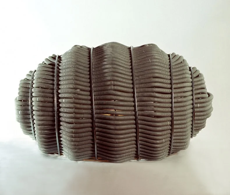 Saga-blot-nilfisk-pupa2-790x670.jpg