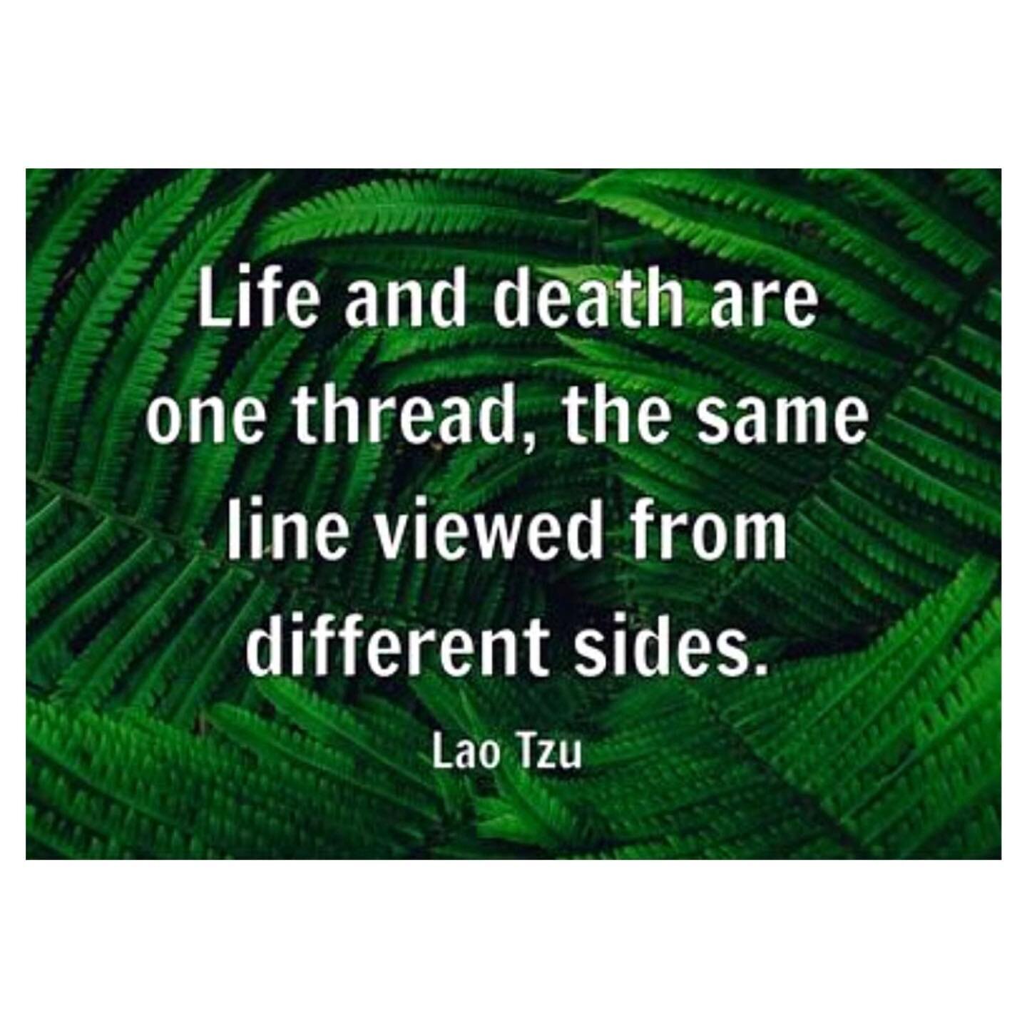 &ldquo;A Lifetime&rdquo; line quote about life and death by Lao Tzu 
-
Something to think about&hellip;
Something to talk about&hellip;
-
A wake up call&hellip;
We are not immortals&hellip;
-
Let&rsquo;s talk about it&hellip;
Let&rsquo;s be open mind