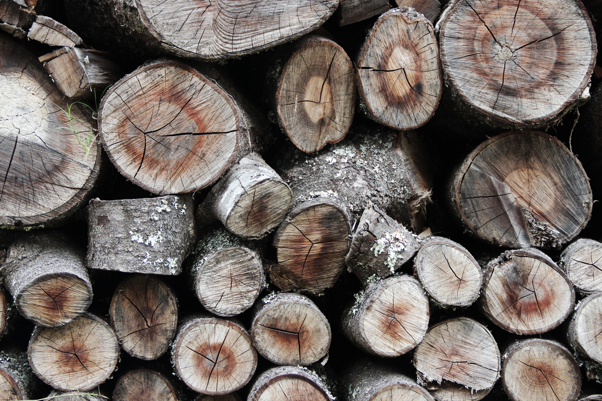 wood.jpg