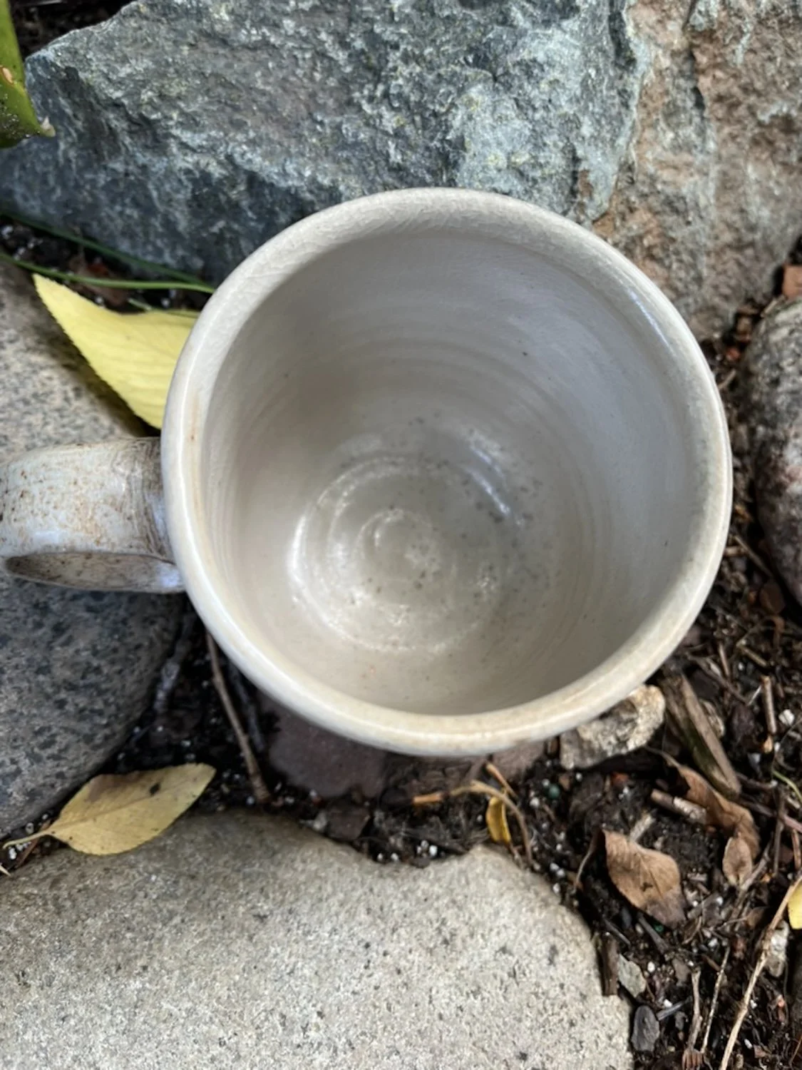 cat arch skyline 4.jpeg