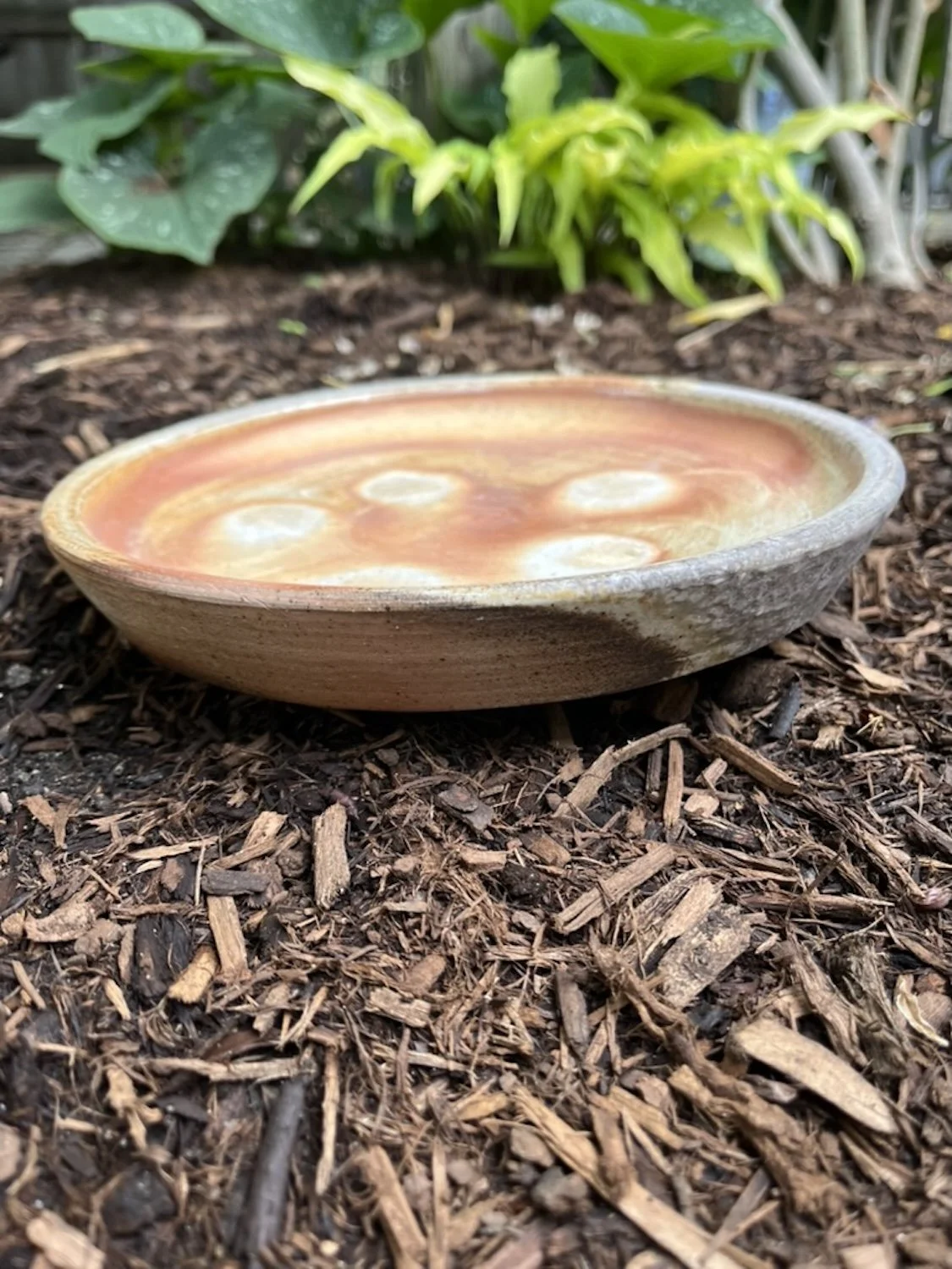 cat arch wood fired tray 2.jpeg