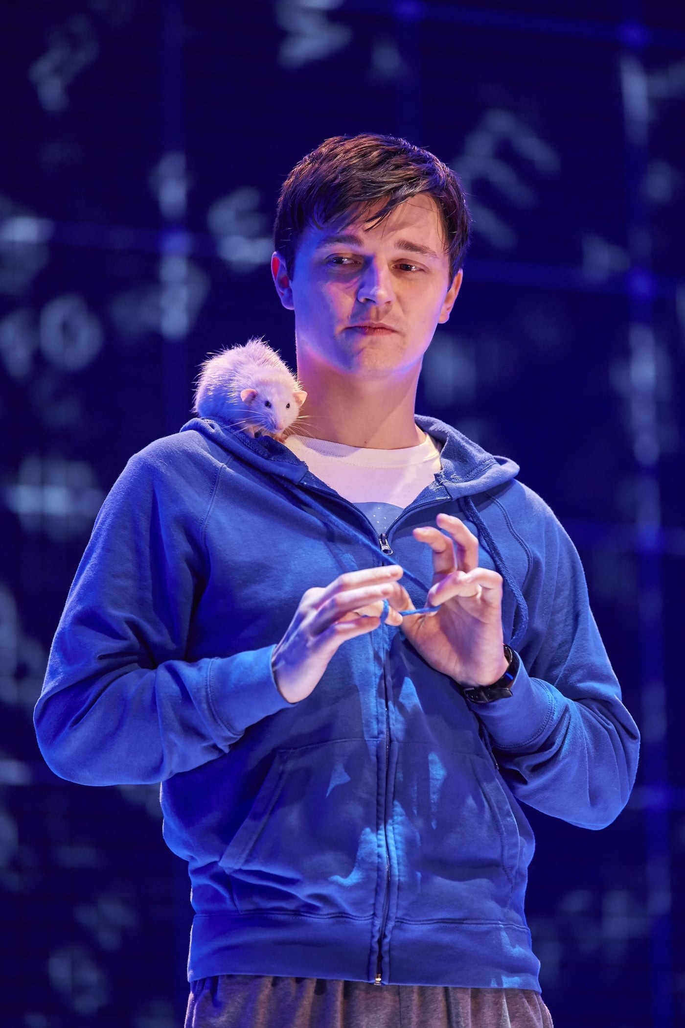    The Curious Incident of the Dog in the Night-Time  , UK Tour 