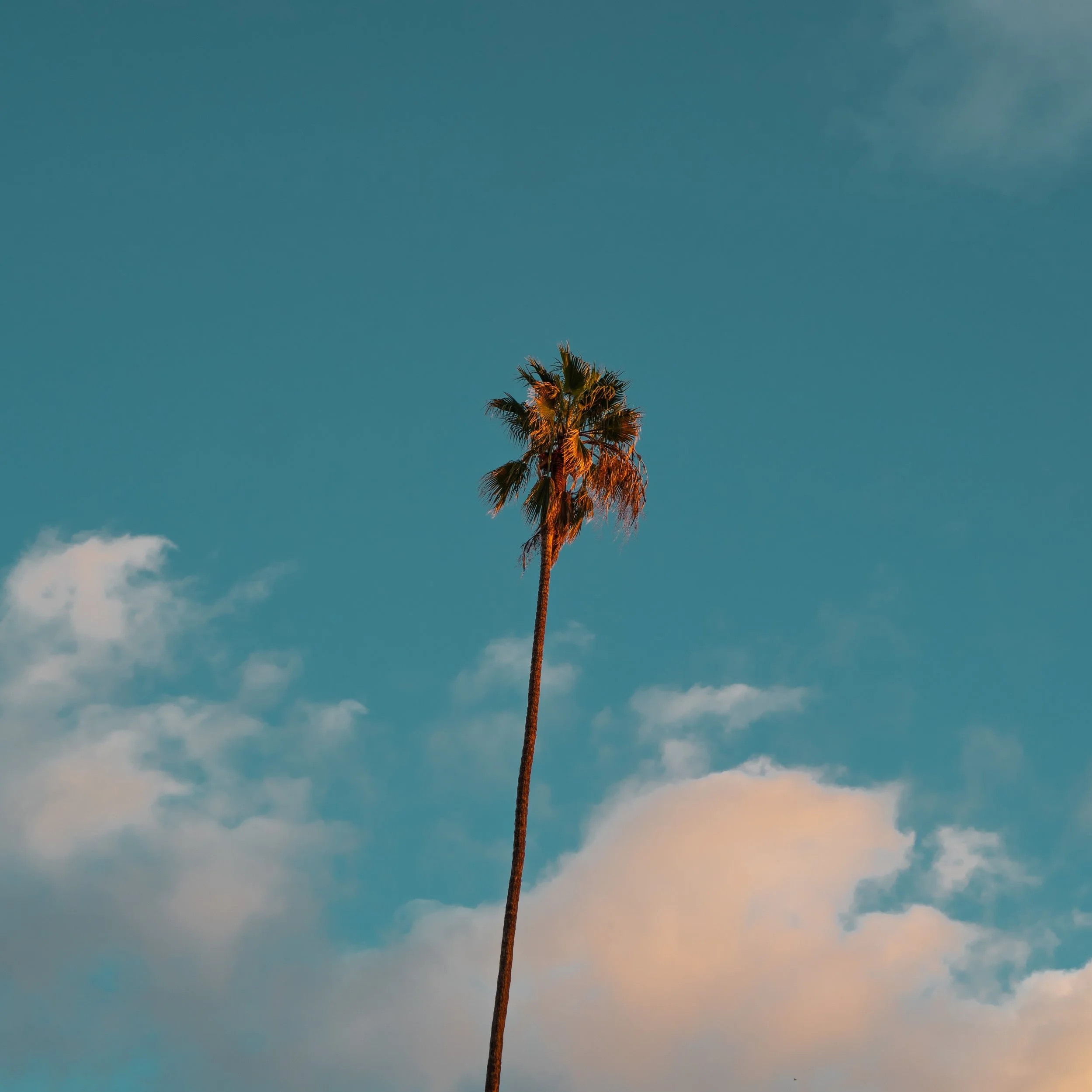 jeremy-bishop-1383394-unsplash.jpg