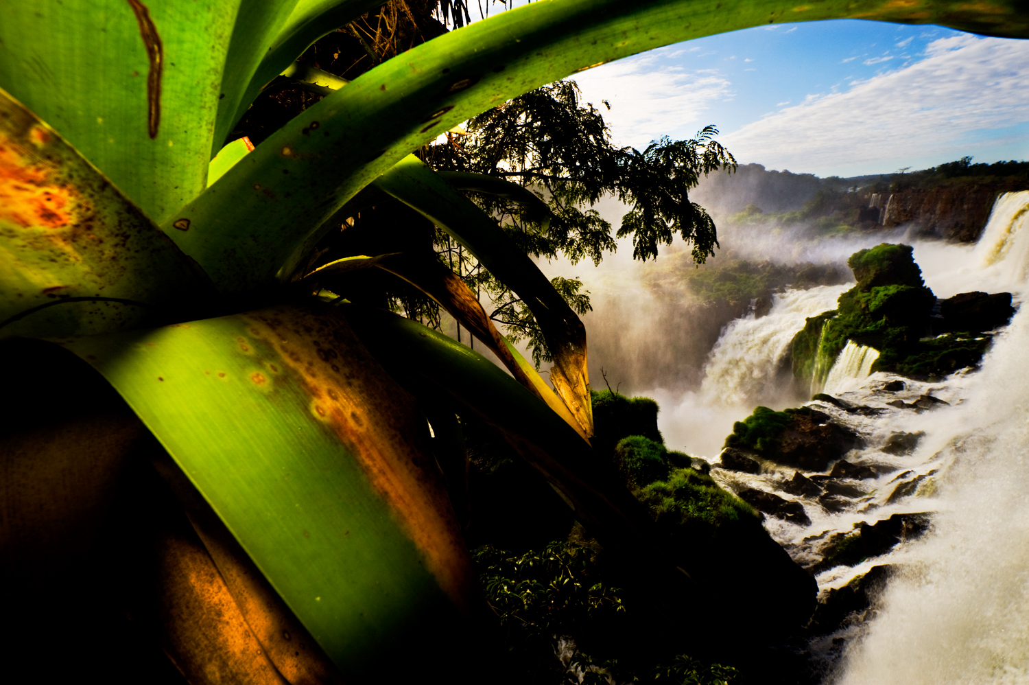 The Human Quest Prospering Within Planetary Boundaries