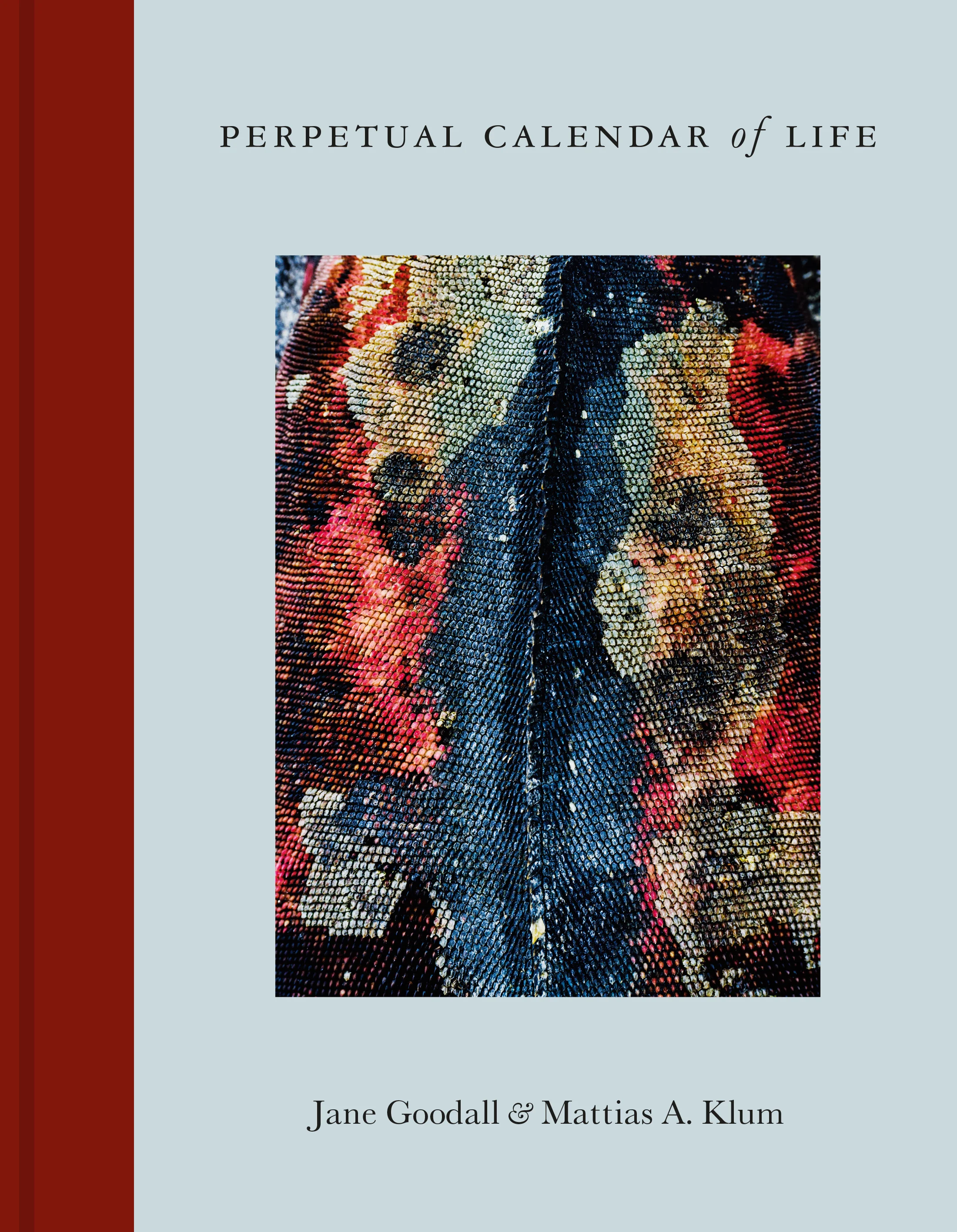 Klum Goodall Perpetual Calender omslag cover.jpg