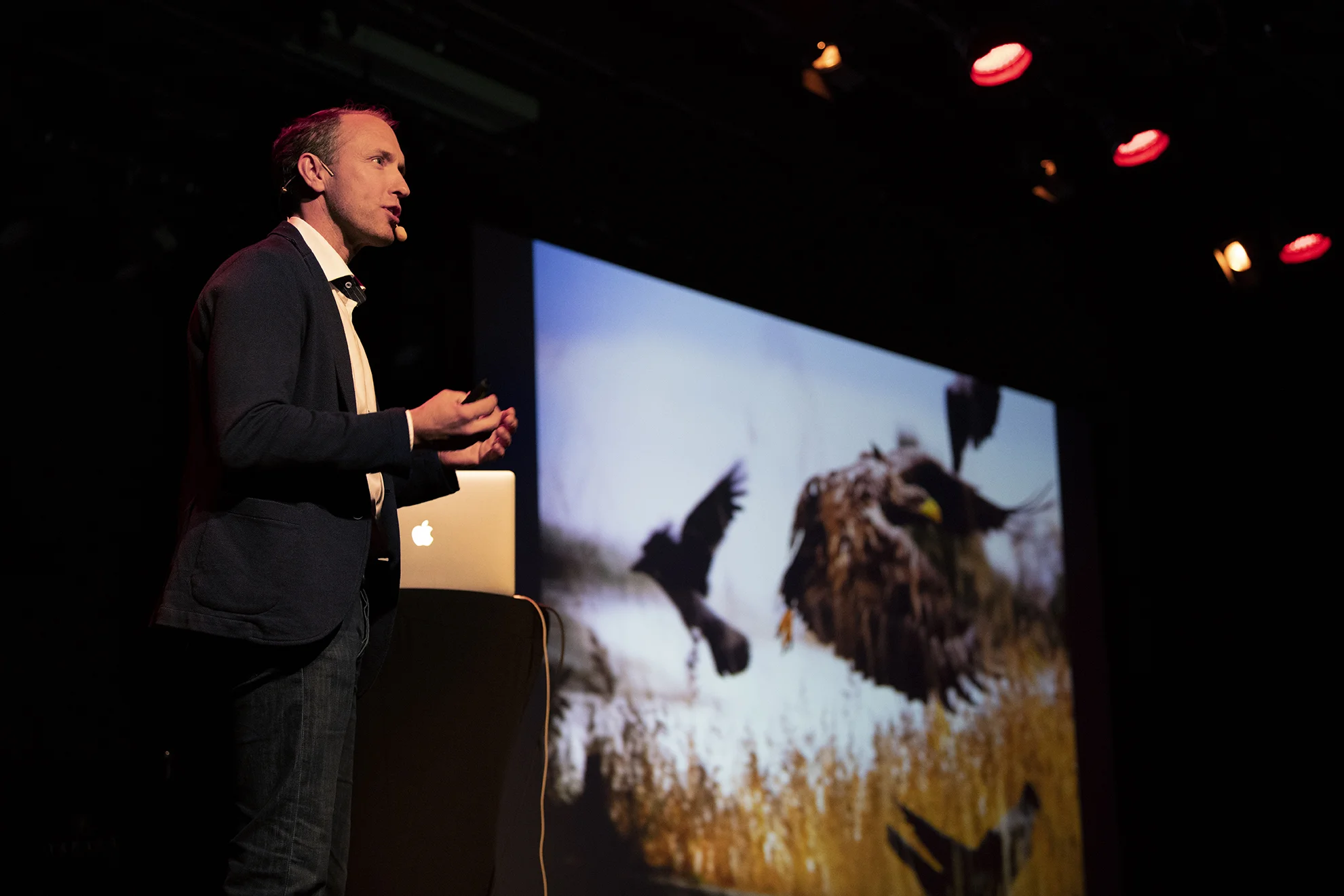 Photo: Ola Högberg