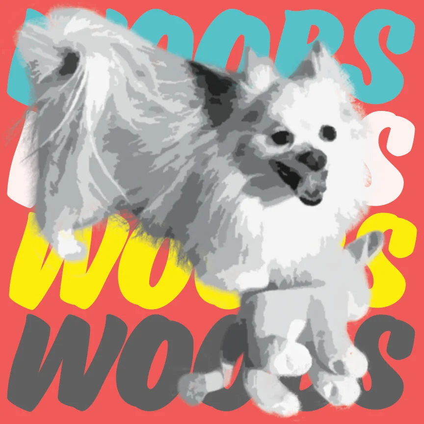Scott, you are AMAZING!!! I love them all!!! If I had to choose one.... it would be the red background and Woobs in white. AMIE A.