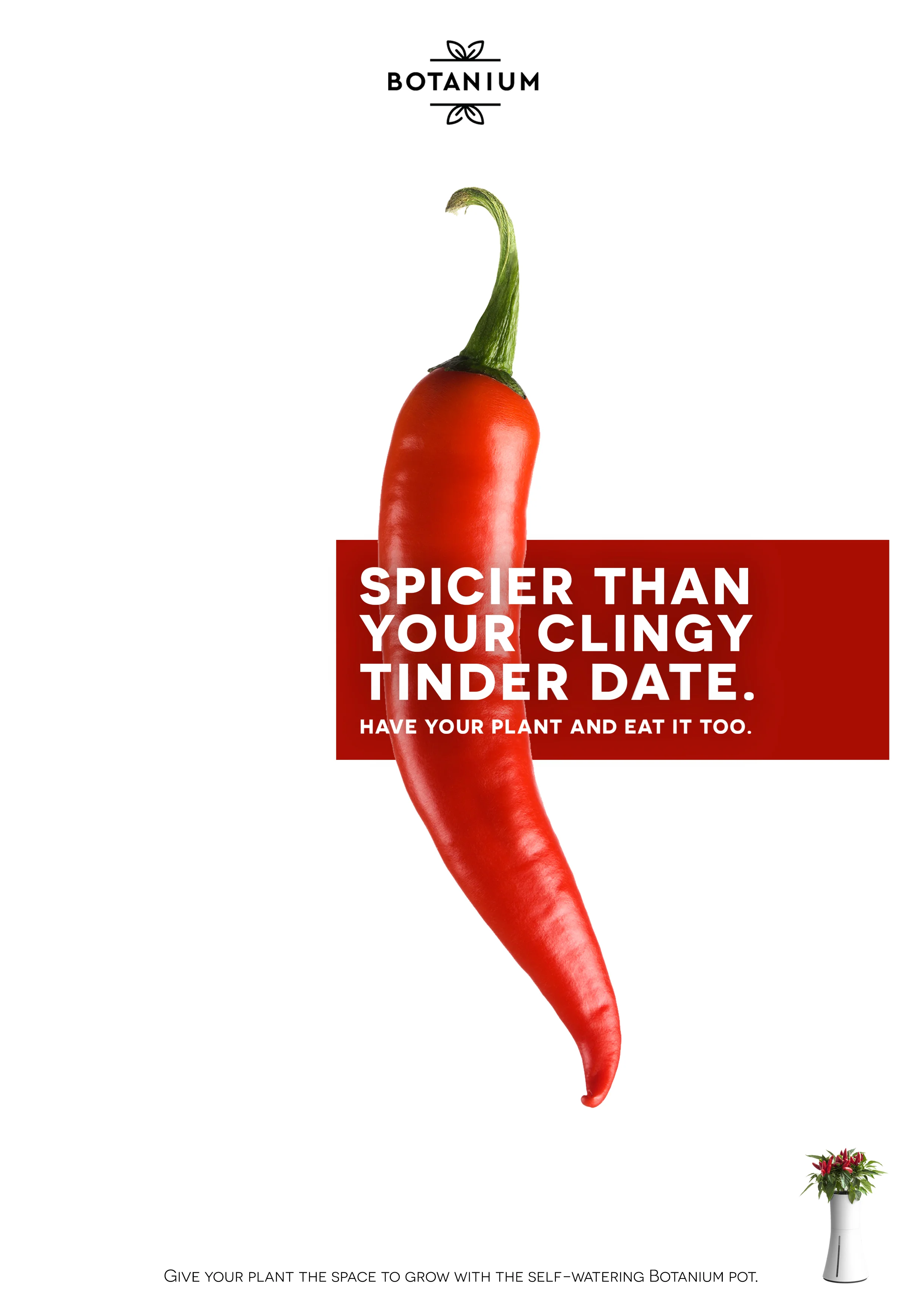 FINAL_chili_peppers_print_B2.jpg