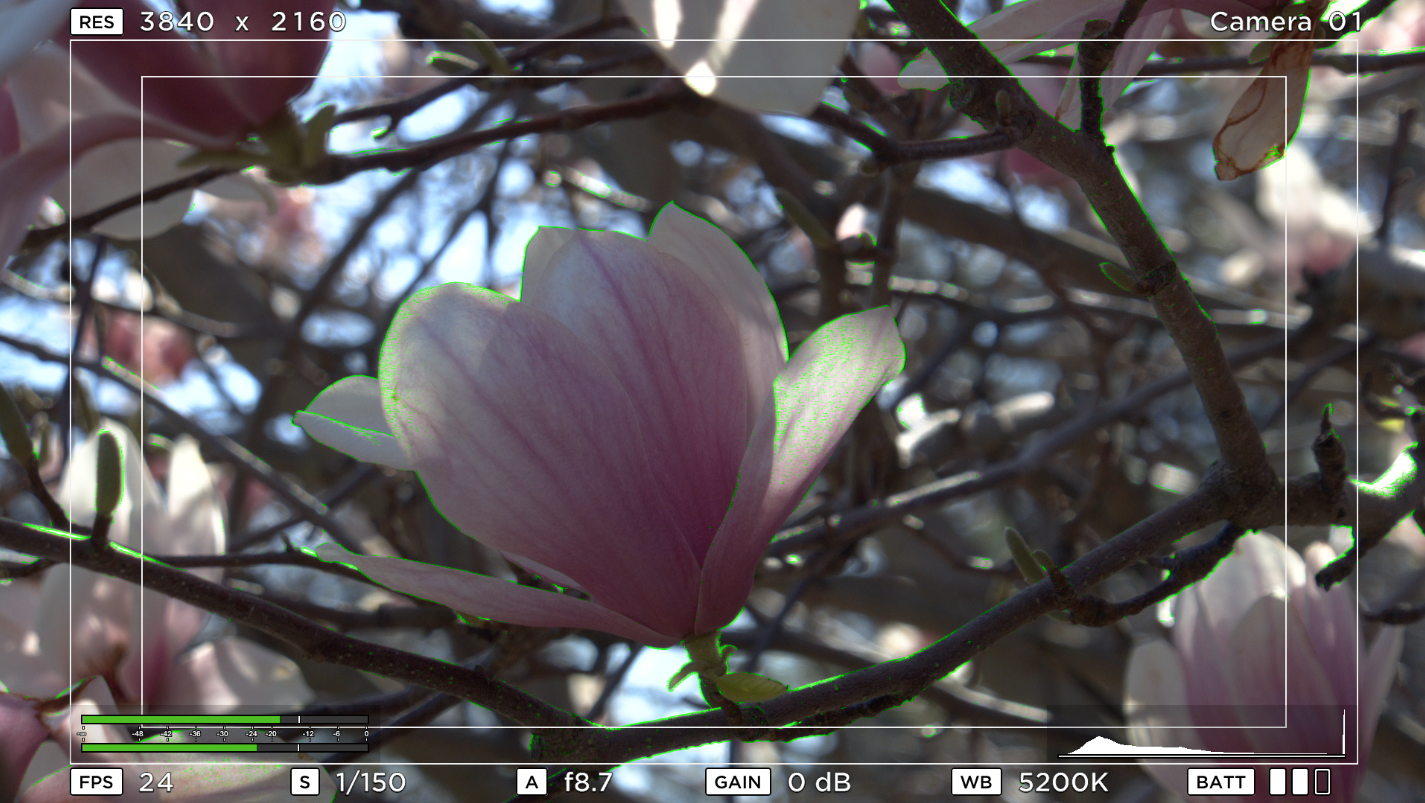 Yes, this is NOT the kind of scene for which the camera was intended, but still lovely. Same Video Assist with Micro Studio Camera 4K and Oly ED 12-50mm f/3.6-6.3 PZ