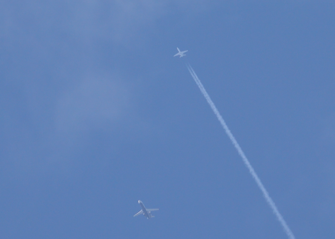 Screen grab (cropped) from 4K crazy spur-of-the-moment pooch walk video, Sony RX10 Mark III. This was hand-held at 220mm (600mm 35mm equivalent). Wow.