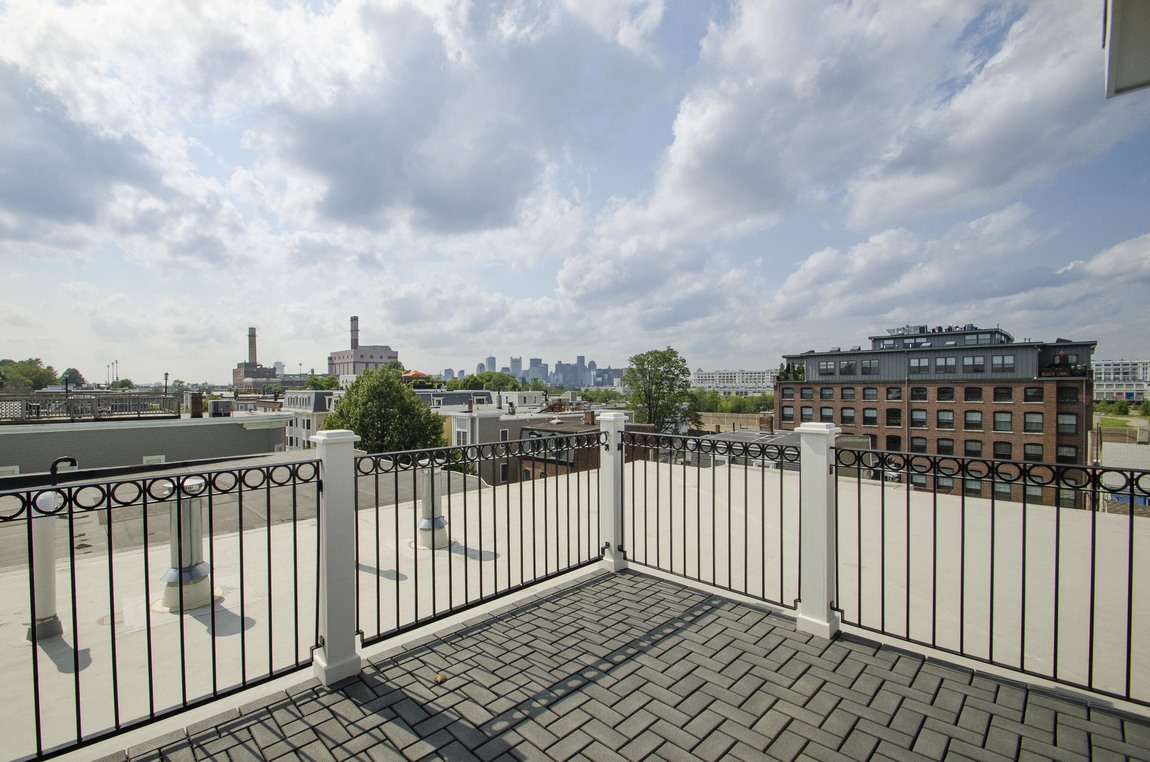 881 11 roof deck.jpg