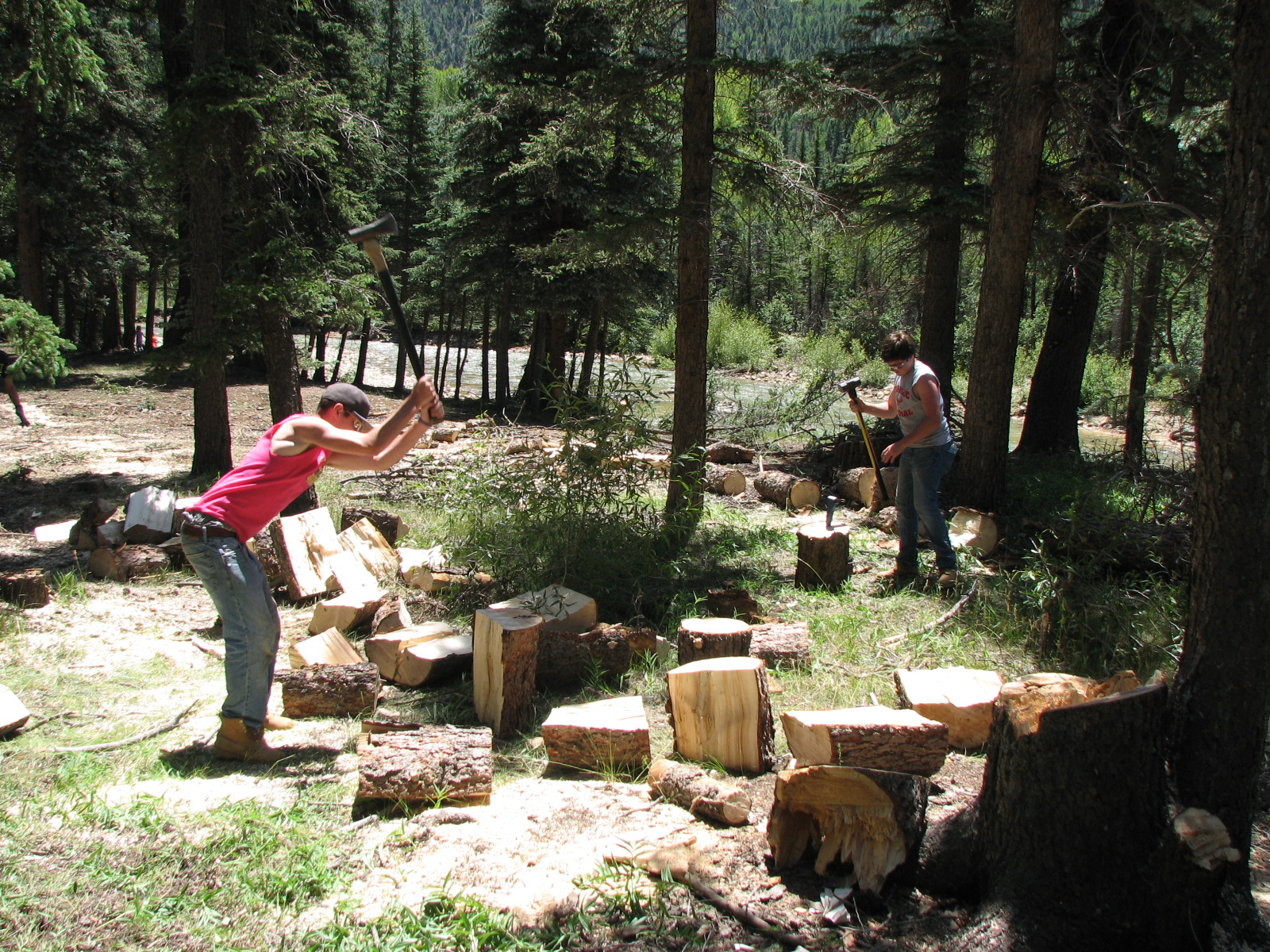 Many hours have been spent cleaning up the landscape around the camp