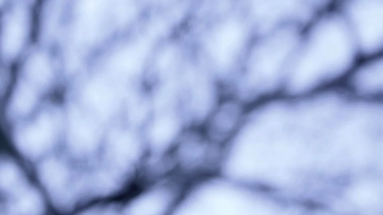   Obscured  "..the light shines in the darkness but the darkness has not understood it.." 