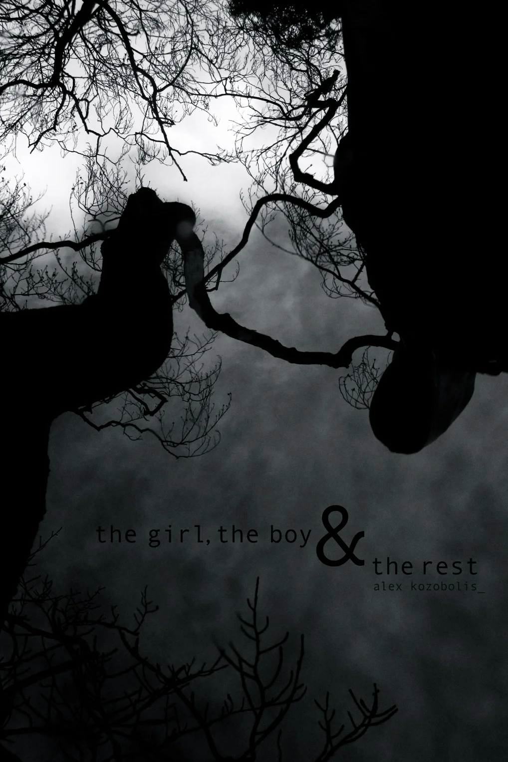  The story of a compulsive writer and an insomniac driven to the edge of their worlds and inadvertently forced into each others' 