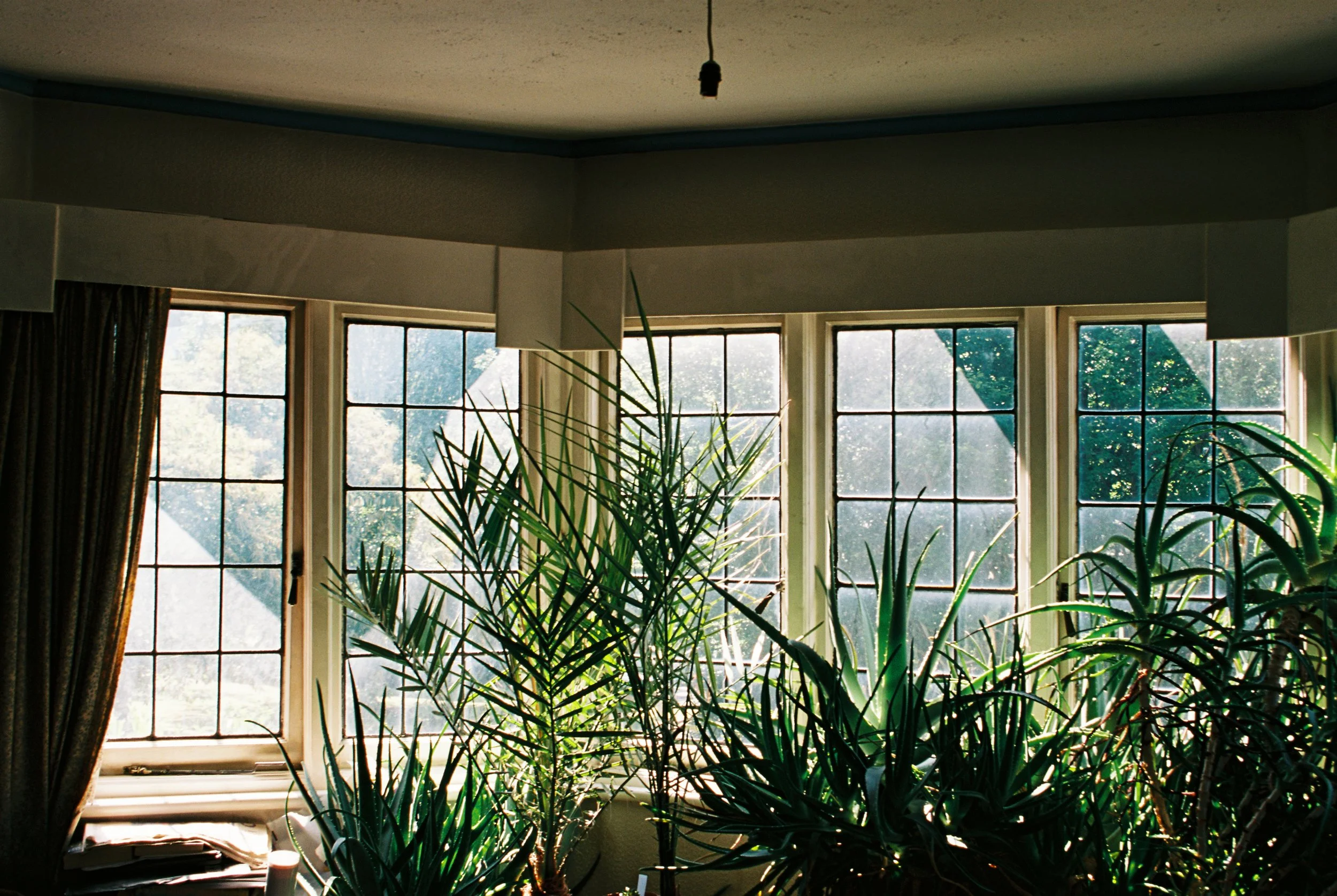 july18 Ektar100_3.JPG
