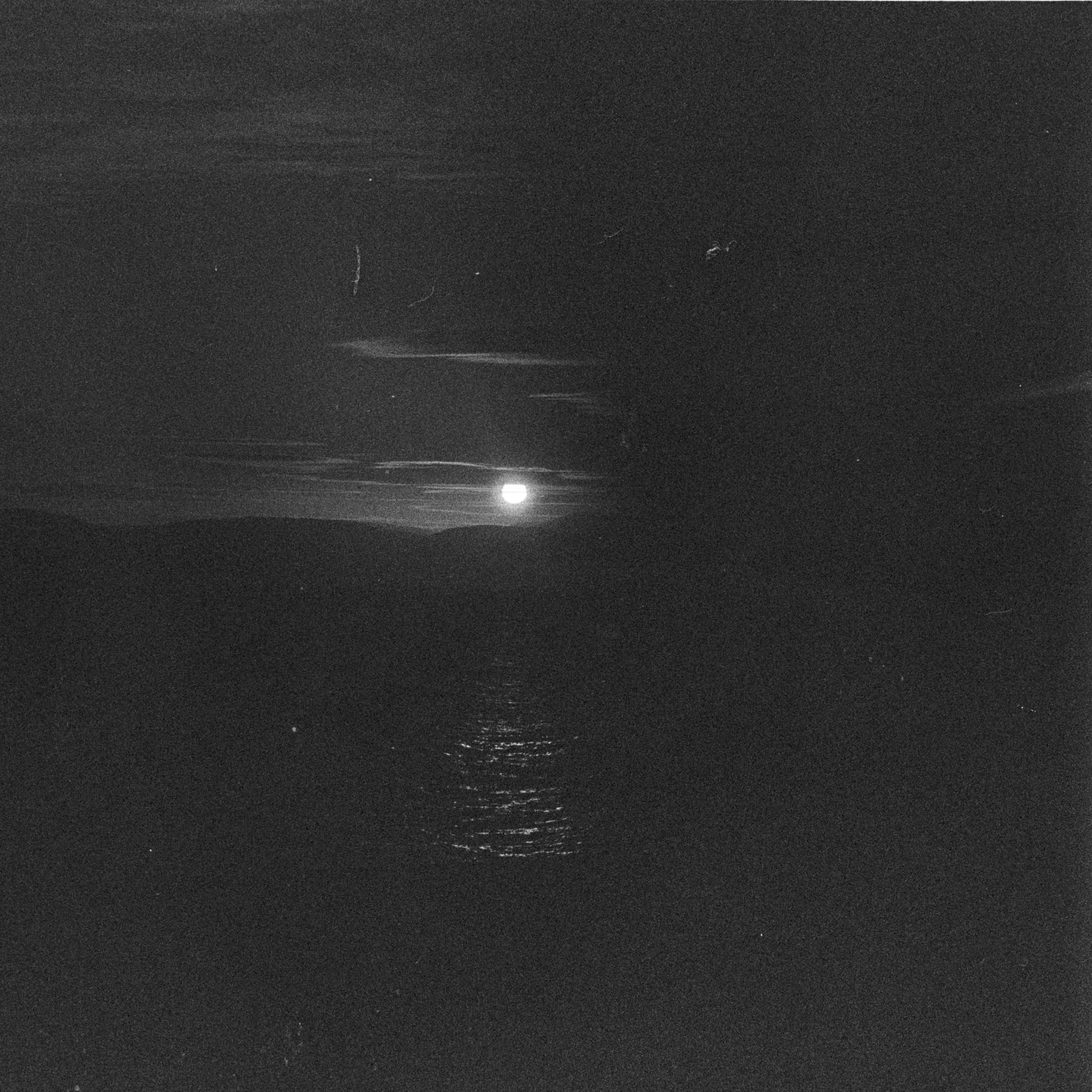 Moonlight web.jpg