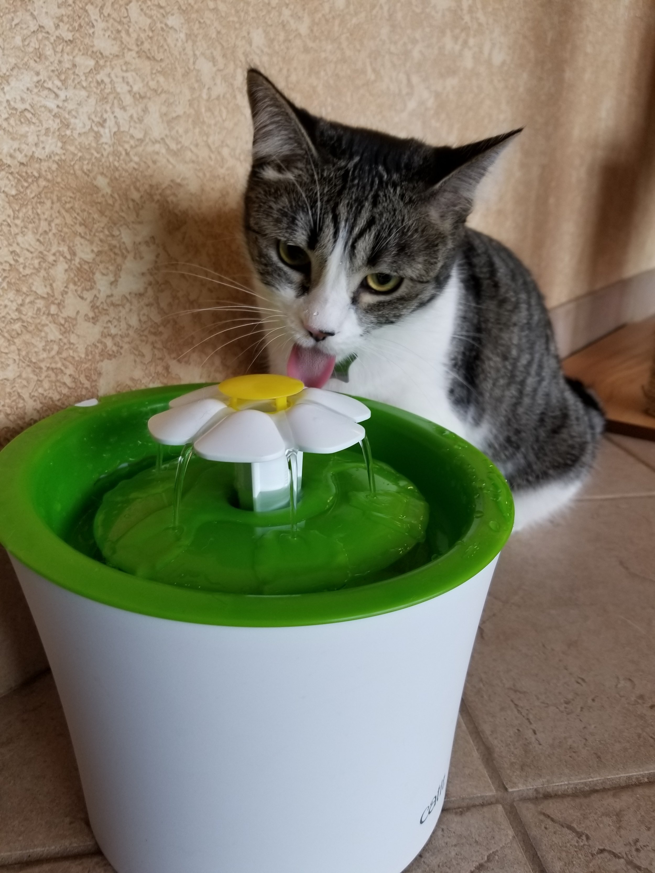 Catit Flower Fountain