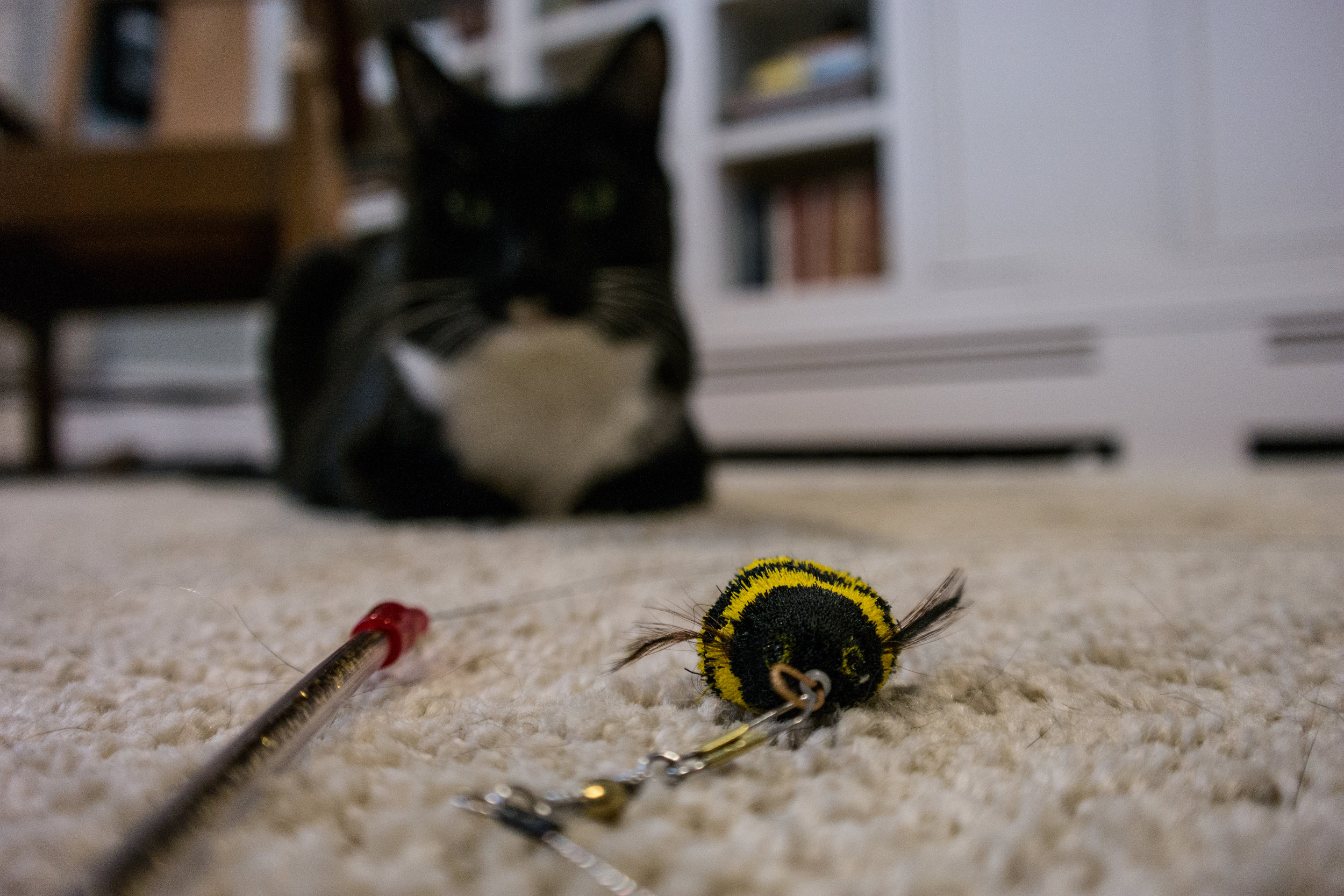 "Da Bee" Cat Catcher Toy