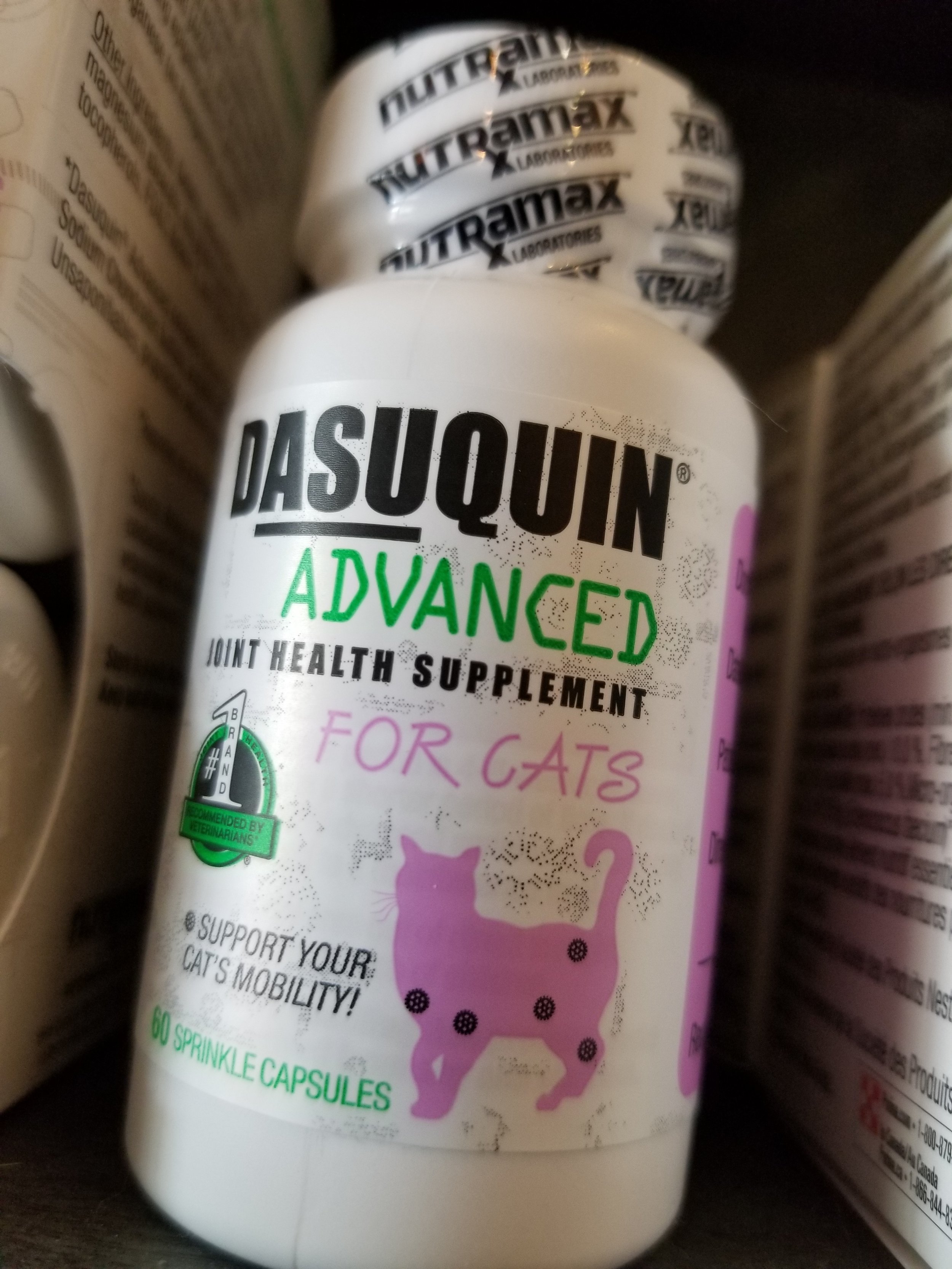 Dasuquin® Joint Health Supplements