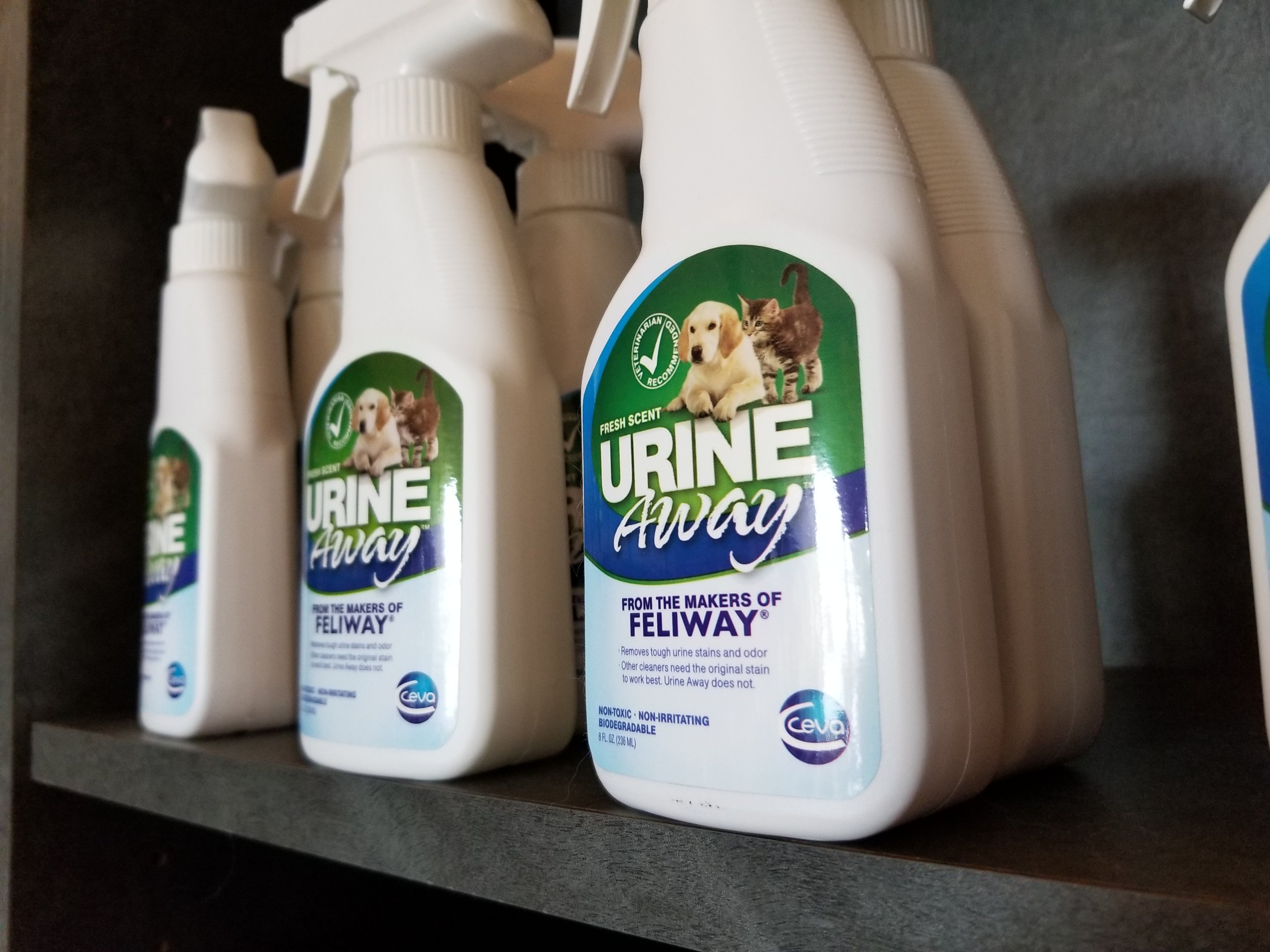 Urine Away Stain and Odor Remover