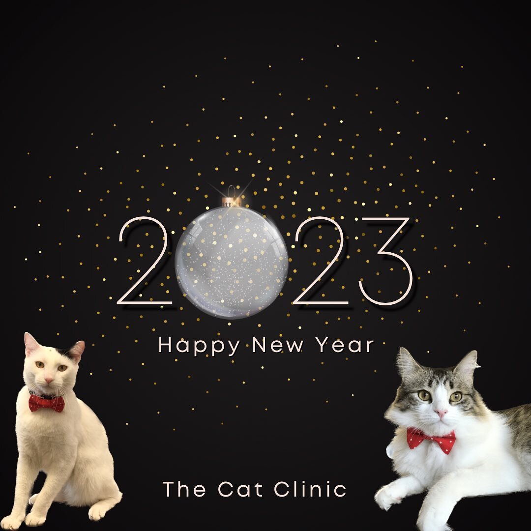 Wishing everyone a very happy and safe New Year. See you in 2023! 🥂 

#keepcalmandlovecats #catclinicvet #happynewyear2023 #catclinicvetpierre #catclinicvetspotty #costamesa #huntingtonbeach #irvine #cheers #2023 #catsinbowties #catsofig #catsofinst