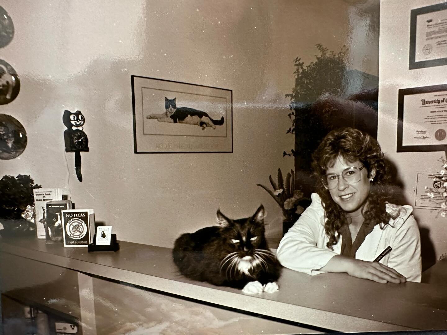 Ever wonder who the model was for the Cat Clinic&rsquo;s logo? Meet Leon, seen here working alongside Dr. Diane when the clinic first opened in 1988. 

#tbt #catclinicvet #catclinicoforangecounty 

#catvet #catsonly #felineexclusive #catspecialist #w